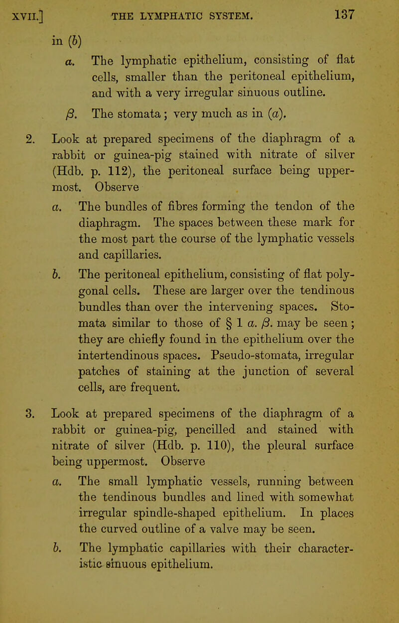 in (6) a. The lymphatic epi-thelium, consisting of flat cells, smaller than the peritoneal epithelium, and with a very irregular sinuous outline. ^. The stomata; very much as in (a). 2. Look at prepared specimens of the diaphragm of a rabbit or guinea-pig stained with nitrate of silver (Hdb. p. 112), the peritoneal surface being upper- most. Observe a. The bundles of fibres forming the tendon of the diaphragm. The spaces between these mark for the most part the course of the lymphatic vessels and capillaries. b. The peritoneal epithelium, consisting of flat poly- gonal cells. These are larger over the tendinous bundles than over the intervening spaces. Sto- mata similar to those of § 1 a. yS. may be seen; they are chiefly found in the epithelium over the intertendinous spaces. Pseudo-stomata, irregular patches of staining at the junction of several cells, are frequent. 3. Look at prepared specimens of the diaphragm of a rabbit or guinea-pig, pencilled and stained with nitrate of silver (Hdb. p. 110), the pleural surface being uppermost. Observe a. The small lymphatic vessels, running between the tendinous bundles and lined with somewhat irregular spindle-shaped epithelium. In places the curved outline of a valve may be seen. b. The lymphatic capillaries with their character- istic sinuous epithelium.