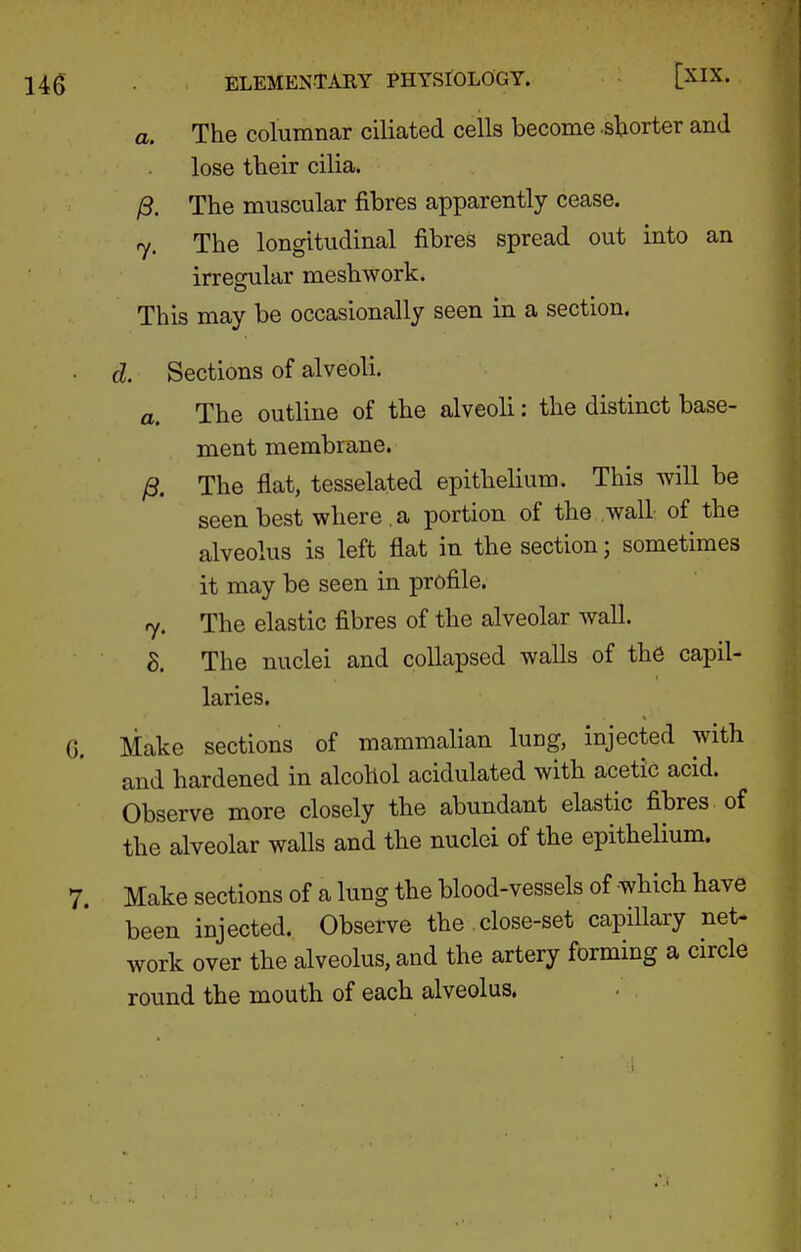a. The columnar ciliated cells become .sl;iorter and lose their cilia. ^. The muscular fibres apparently cease. 7. The longitudinal fibres spread out into an irregular meshwork. This may be occasionally seen in a section. d. Sections of alveoli. a. The outline of the alveoli: the distinct base- ment membrane. /3. The flat, tesselated epithelium. This will be seen best where . a portion of the wall of the alveolus is left flat in the section; sometimes it may be seen in profile. 7. The elastic fibres of the alveolar wall. S. The nuclei and collapsed walls of the capil- laries. G. Make sections of mammalian lung, injected with and hardened in alcohol acidulated with acetic acid. Observe more closely the abundant elastic fibres of the alveolar walls and the nuclei of the epithelium. 7. Make sections of a lung the blood-vessels of which have been injected. Observe the close-set capillary net- work over the alveolus, and the artery forming a circle round the mouth of each alveolus,
