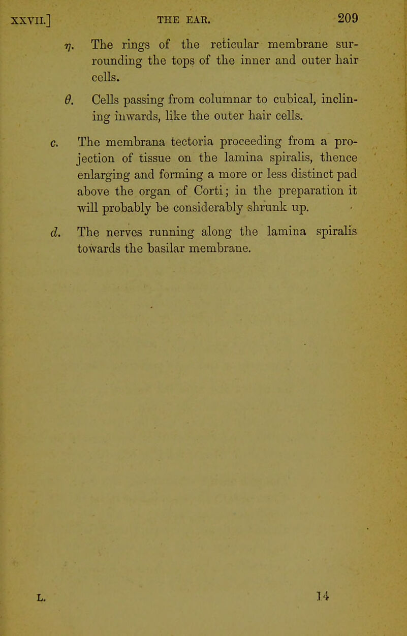XXYII.] 7], The rings of tlie reticular membrane sur- rounding the tops of the inner and outer hair cells. 6. Cells passing from columnar to cubical, inclin- inff inwards, like the outer hair cells. c. The membrana tectoria proceeding from a pro- jection of tissue on the lamina spiralis, thence enlarging and forming a more or less distinct pad above the organ of Corti; ia the preparation it will probably be considerably shrunk up. d. The nerves running along the lamina spiralis towards the basilar membrane. L, 14