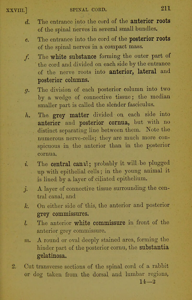 d. The enti-cance into the cord of the anterior roots of the spinal nerves in several small bundles. e. The entrance into the cord of the posterior roots of the spinal nerves in a compact mass. /. The white substance forming the outer part of the cord and divided on each side by the entrance of the nerve roots into anterior, lateral and posterior columns. g. The division of each posterior column into two by a wedge of connective tissue; the median smaller part is called the slender fasciculus. h. The grey matter divided on each side into anterior and posterior cornua, but with no distinct separating line between them. Note the numerous nerve-cells; they are much more con- spicuous in the anterior than in the posterior cornua. i. The central canal; probably it will be plugged . up with epitheUal cells; in the young animal it is lined by a layer of ciliated epithelium. j. A layer of connective tissue surrounding the cen- tral canal, and k. On either side of this, the anterior and posterior grey commissures. I The anterior white commissure in front of the anterior grey commissure. m. A round or oval deeply stained area, forming the hinder part of the posterior cornu, the substantia gelatinosa. 2. Cut transverse sections of the spinal cord of a rabbit or dog taken from the dorsal and lumbar regions, 14—2