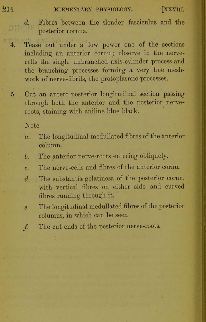 d, Fibres between the slender fasciculus and the posterior cornua. 4. Tease out under a low power one of the sections including an anterior cornu; observe in the nerve- cells the single unbranched axis-cylinder process and the branching processes forming a very fine mesh- work of nerve-fibrils, the protoplasmic processes. 5. Cut an antero-posterior longitudinal section passing through both the anterior and the posterior nerve- roots, staining with aniline blue black. Note a. The longitudinal medullated fibres of the anterior column. h. The anterior nerve-roots entering obliquely. c. The nerve-cells and fibres of the anterior cornu. d. The substantia gelatinosa of the posterior cornu, with vertical fibres on either side and curved fibres running through it. e. The longitudinal medullated fibres of the posterior columns, in which can be seen /. The cut ends of the posterior nerve-roots.