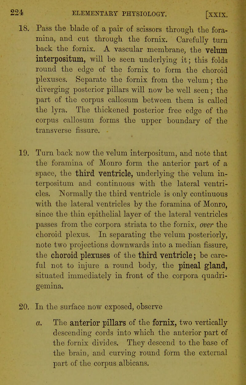 18. Pass the blade of a pair of scissors through the fora- mina, and cut through the fornix. Carefully turn back the fornix. A vascular membrane, the velum interpositum, will be seen underlying it; this folds round the edge of the fornix to form the choroid plexuses. Separate the fornix from the velum; the diverging posterior pillars will now be well seen; the part of the corpus callosum between them is called the lyra. The thickened posterior free edge of the corpus callosum forms the upper boundary of the transverse fissure. 19. Turn back now the velum interpositum, and note that the foramina of Monro form the anterior part of a space, the third ventricle, underlying the velum in- terpositum and continuous with the lateral ventri- cles. Normally the third ventricle is only continuous with the lateral ventricles by the foramina of Monro, since the thin epithelial layer of the lateral ventricles passes from the corpora striata to the fornix, over the choroid plexus. In separating the velum posteriorly, note two projections doAvnwards into a median fissure, the choroid plexuses of the third ventricle; be care- ful not to injure a round body, the pineal gland, situated immediately in front of the corpora quadri- gemina. 20. In the surface now exposed, observe a. The anterior pillars of the fornix, two vertically descending cords into which the anterior part of the fornix divides. They descend to the base of the brain, and curving round form the external part of the corpus albicans.