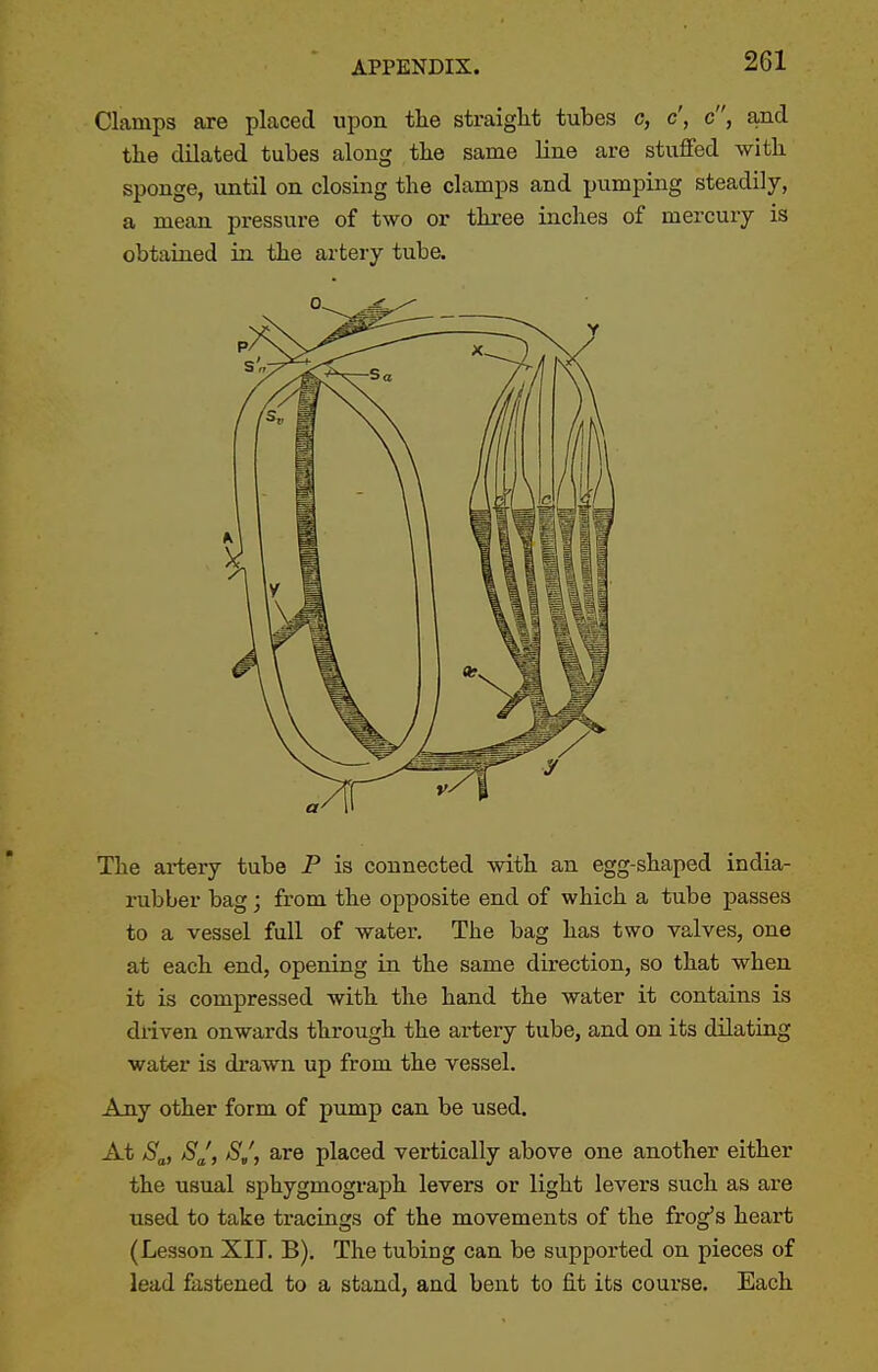 Clamps are placed upon the straight tubes c, c', e, and the dilated tubes along the same line are stuffed with sponge, until on closing the clamps and pumping steadily, a mean pressure of two or three inches of mercury is obtained in the artery tube. The artery tube P is connected with an egg-shaped india- rubber bag; from the opposite end of which a tube passes to a vessel full of water. The bag has two valves, one at each end, opening in the same direction, so that when it is compressed with the hand the water it contains is driven onwards through the artery tube, and on its dilating water is drawn up from the vessel. Any other form of pump can be used. At S^, SJ, S/, are placed vertically above one another either the usual sphygmograph levers or light levers such as are used to take tracings of the movements of the frog's heart (Les3on XIT, B). The tubing can be supported on pieces of lead fastened to a stand, and bent to fit its course. Each