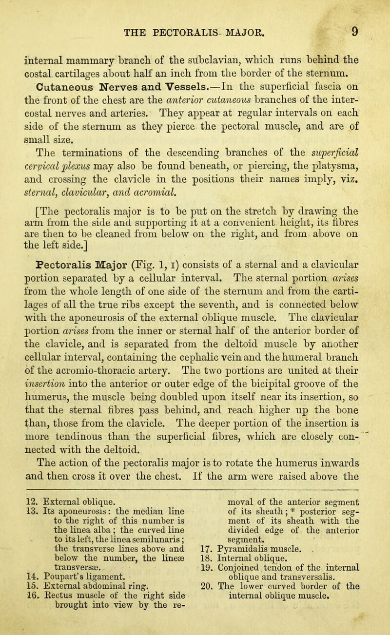 internal mammary branch of the subclavian, which runs behind the costal cartilages about half an inch from the border of the sternum. Cutaneous Nerves and Vessels.—In the superficial fascia on the front of the chest are the anterior cutaneous branches of the inter- costal nerves and arteries. They appear at regular intervals on each side of the sternum as they pierce the pectoral muscle, and are of small size. The terminations of the descending branches of the superficial cervical plexus may also be found beneath, or piercing, the platysma, and crossing the clavicle in the positions their names imply, viz. sternal, clavicular, and acromial. [The pectoralis major is to be put on the stretch by drawing the arm from the side and supporting it at a convenient height, its fibres are then to be cleaned from below on the right, and from above on the left side.] Pectoralis Major (Fig. 1, i) consists of a sternal and a clavicular portion separated by a cellular interval. The sternal portion arises from the whole length of one side of the sternum and from the carti- lages of all the true ribs except the seventh, and is connected below with the aponeurosis of the external oblique muscle. The clavicular portion arises from the inner or sternal half of the anterior border of the clavicle, and is separated from the deltoid muscle by another cellular interval, containing the cephalic vein and the humeral branch of the acromio-thoracic artery. The two portions are united at their insertion into the anterior or outer edge of the bicipital groove of the humerus, the muscle being doubled upon itself near its insertion, so that the sternal fibres pass behind, and reach higher up the bone than, those from the clavicle. The deeper portion of the insertion is more tendinous than the superficial fibres, which are closely con- nected with the deltoid. The action of the pectoralis major is to rotate the humerus inwards and then cross it over the chest. If the arm were raised above the 12. External oblique. 13. Its aponeurosis: the median line to the right of this number is the linea alba ; the curved line to its left, the linea semilunaris; the transverse lines above and below the number, the line® transversal. 14. Poupart’s ligament. 15. External abdominal ring. 16. Rectus muscle of the right side brought into view by the re- moval of the anterior segment of its sheath; * posterior seg- ment of its sheath with the divided edge of the anterior segment. 17. Pyramidalis muscle. . 18. Internal oblique. 19. Conjoined tendon of the internal oblique and transversalis. 20. The lower curved border of the internal oblique muscle.