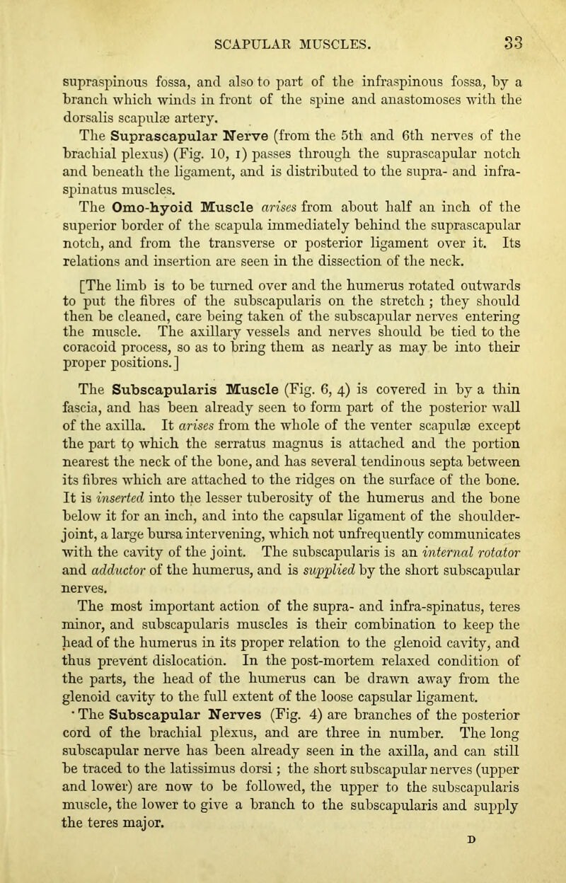 SCAPULAR MUSCLES. S3 supraspinous fossa, and also to part of the infraspinous fossa, by a branch which winds in front of the spine and anastomoses with the dorsalis scapuke artery. The Suprascapular Nerve (from the 5th and 6th nerves of the brachial plexus) (Fig. 10, i) passes through the suprascapular notch and beneath the ligament, and is distributed to the supra- and infra- spinatus muscles. The Omo-hyoid Muscle arises from about half an inch of the superior border of the scapula immediately behind the suprascapular notch, and from the transverse or posterior ligament over it. Its relations and insertion are seen in the dissection of the neck. [The limb is to be turned over and the humerus rotated outwards to put the fibres of the subscapularis on the stretch; they should then be cleaned, care being taken of the subscapular nerves entering the muscle. The axillary vessels and nerves should be tied to the coracoid process, so as to bring them as nearly as may be into their proper positions.] The Subscapularis Muscle (Fig. 6, 4) is covered in by a thin fascia, and has been already seen to form part of the posterior wall of the axilla. It arises from the whole of the venter scapulae except the part to which the serratus magnus is attached and the portion nearest the neck of the bone, and has several tendinous septa between its fibres which are attached to the ridges on the surface of the bone. It is inserted into the lesser tuberosity of the humerus and the bone below it for an inch, and into the capsular ligament of the shoulder- joint, a large bursa intervening, which not unfrequently communicates with the cavity of the joint. The subscapularis is an internal rotator and adductor of the humerus, and is supplied by the short subscapular nerves. The most important action of the supra- and infra-spinatus, teres minor, and subscapularis muscles is their combination to keep the head of the humerus in its proper relation to the glenoid cavity, and thus prevent dislocation. In the post-mortem relaxed condition of the parts, the head of the humerus can be drawn away from the glenoid cavity to the full extent of the loose capsular ligament. 'The Subscapular Nerves (Fig. 4) are branches of the posterior cord of the brachial plexus, and are three in number. The long subscapular nerve has been already seen in the axilla, and can still be traced to the latissimus dorsi ; the short subscapular nerves (upper and lower) are now to be followed, the upper to the subscapularis muscle, the lower to give a branch to the subscapularis and supply the teres major. D