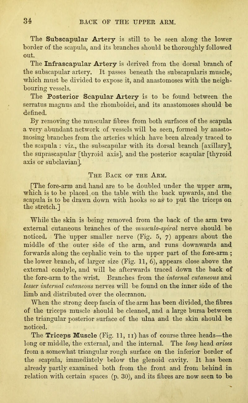 The Subscapular Artery is still to be seen along the lower border of the scapula, and its branches should be thoroughly followed out. The Infrascapular Artery is derived from the dorsal branch of the subscapular artery. It passes beneath the subscapularis muscle, which must be divided to expose it, and anastomoses with the neigh- bouring vessels. The Posterior Scapular Artery is to be found between the serratus magnus and the rhomboidei, and its anastomoses should be defined. By removing the muscular fibres from both surfaces of the scapula a very abundant network of vessels will be seen, formed by anasto- mosing branches from the arteries which have been already traced to the scapula : viz., the subscapular with its dorsal branch [axillary], the suprascapular [thyroid axis], and the posterior scapular [thyroid axis or subclavian]. The Back of the Arm. [The fore-arm and hand are to be doubled under the upper arm, which is to be placed on the table with the back upwards, and the scapula is to be drawn down with hooks so as to put the triceps on the stretch.] While the skin is being removed from the back of the arm two external cutaneous branches of the musculo-spiral nerve should be noticed. The upper smaller nerve (Fig. 5, 7) appears about the middle of the outer side of the arm, and runs downwards and forwards along the cephalic vein to the upper part of the fore-arm; the lower branch, of larger size (Fig. 11, 6), appears close above the external condyle, and will be afterwards traced down the back of the fore-arm to the wrrist. Branches from the internal cutaneous and lesser internal cutaneous nerves will be found on the inner side of the limb and distributed over the olecranon. When the strong deep fascia of the arm has been divided, the fibres of the triceps muscle should be cleaned, and a large bursa between the triangular posterior surface of the ulna and the skin should be noticed. The Triceps Muscle (Fig. 11, n) has of course three heads—the long or middle, the external, and the internal. The long head arises from a somewhat triangular rough surface on the inferior border of the scapula, immediately below the glenoid cavity. It has been already partly examined both from the front and from behind in relation with certain spaces (p. 30), and its fibres are now seen to be