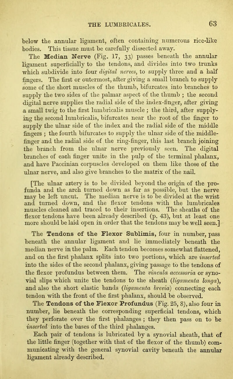 below the annular ligament, often containing numerous rice-like bodies. This tissue must he carefully dissected away. The Median Nerve (Fig. 17, 33) passes beneath the annular ligament superficially to the tendons, and divides into two trunks which subdivide into four digital nerves, to supply three and a half fingers. The first or outermost, after giving a small branch to supply some of the short muscles of the thumb, bifurcates into branches to supply the two sides of the palmar aspect of the thumb ; the second digital nerve supplies the radial side of the index-finger, after giving a small twig to the first lumbricalis muscle ; the third, after supply- ing the second lumbricalis, bifurcates near the root of the finger to supply the ulnar side of the index and the radial side of the middle fingers ; the fourth bifurcates to supply the ulnar side of the middle- finger and the radial side of the ring-finger, this last branch joining the branch from the ulnar nerve previously seen. The digital branches of each finger unite in the pulp of the terminal phalanx, and have Paccinian corpuscles developed on them like those of the ulnar nerve, and also give branches to the matrix of the nail. [The ulnar ar-tery is to be divided beyond the origin of the pro- funda and the arch turned down as far as possible, but the nerve may be left uncut. The median nerve is to be divided at the wrist and turned down, and the flexor tendons with the lumbricales muscles cleaned and traced to their insertions. The sheaths of the flexor tendons have been already described (p. 43), but at least one more should be laid open in order that the tendons may be well seen.] The Tendons of the Flexor Sublimis, four in number, pass beneath the annular ligament and lie immediately beneath the median nerve in the palm. Each tendon becomes somewhat flattened, and on the first phalanx splits into two portions, which are inserted into the sides of the second phalanx, giving passage to the tendons of the flexor profundus between them. The vincula accessoria or syno- vial slips which unite the tendons to the sheath (ligamenta longa), and also the short elastic bands (ligamenta brevia) connecting each tendon with the front of the first phalanx, should be observed. The Tendons of the Flexor Profundus (Fig. 25, 8), also four in number, lie beneath the corresponding superficial tendons, which they perforate over the first phalanges ; they then pass on to be inserted into the bases of the third phalanges. Each pair of tendons is lubricated by a synovial sheath, that of the little finger (together with that of the flexor of the thumb) com- municating with the general synovial cavity beneath the annular ligament already described.