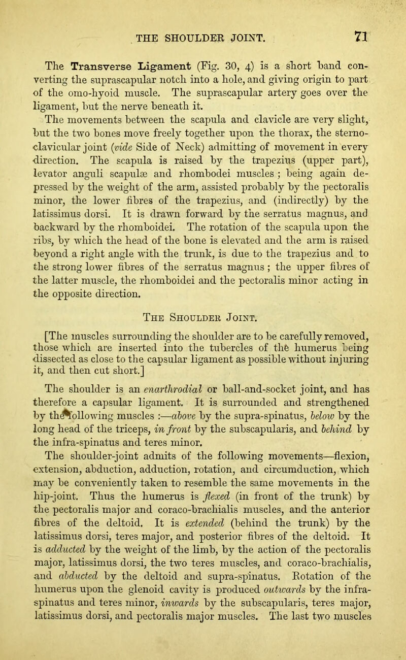 The Transverse Ligament (Fig. 30, 4) is a short hand con- verting the suprascapular notch into a hole, and giving origin to part of the omo-hyoid muscle. The suprascapular artery goes over the ligament, hut the nerve beneath it. The movements between the scapula and clavicle are very slight, hut the two hones move freely together upon the thorax, the sterno- clavicular joint {vide Side of Neck) admitting of movement in every direction. The scapula is raised by the trapezius (upper part), levator anguli scapulae and rhomhodei muscles ; being again de- pressed by the weight of the arm, assisted probably by the pectoralis minor, the lower fibres of the trapezius, and (indirectly) by the latissimus dorsi. It is drawn forward by the serratus magnus, and backward by the rhomboidei. The rotation of the scapula upon the ribs, by which the head of the bone is elevated and the arm is raised beyond a right angle with the trunk, is due to the trapezius and to the strong lower fibres of the serratus magnus ; the upper fibres of the latter muscle, the rhomboidei and the pectoralis minor acting in the opposite direction. The Shoulder Joint. [The muscles surrounding the shoulder are to be carefully removed, those which are inserted into the tubercles of tlife humerus being dissected as close to the capsular ligament as possible without injuring it, and then cut short.] The shoulder is an enarthrodial or ball-and-socket joint, and has therefore a capsular ligament. It is surrounded and strengthened by thd^following muscles :—above by the supra-spinatus, below by the long head of the triceps, in front by the subscapularis, and behind by the infra-spinatus and teres minor. The shoulder-joint admits of the following movements—flexion, extension, abduction, adduction, rotation, and circumduction, which may be conveniently taken to resemble the same movements in the hip-joint. Thus the humerus is flexed (in front of the trunk) by the pectoralis major and coraco-bracliialis muscles, and the anterior fibres of the deltoid. It is extended (behind the trunk) by the latissimus dorsi, teres major, and posterior fibres of the deltoid. It is adducted by the weight of the limb, by the action of the pectoralis major, latissimus dorsi, the two teres muscles, and coraco-brachialis, and abducted by the deltoid and supra-spinatus. Rotation of the humerus upon the glenoid cavity is produced outwards by the infra- spinatus and teres minor, inwards by the subscapularis, teres major, latissimus dorsi, and pectoralis major muscles. The last two muscles