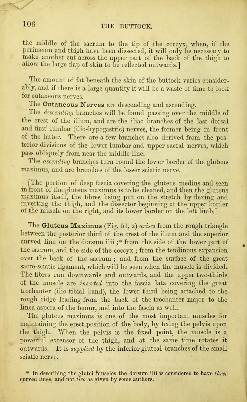 the. middle of the sacrum to the tip of the coccyx, when, if the perinseum and thigh have been dissected, it will only he necessary to make another cut across the upper part of the hack of the thigh to allow the large flap of skin to he reflected outwards.] The amount of fat beneath the skin of the buttock varies consider- ably, and if there is a large quantity it will he a waste of time to look for cutaneous nerves. The Cutaneous Nerves are descending and ascending. The descending branches will he found passing over the middle of the crest of the ilium, and are the iliac branches of the last dorsal and first' lumbar (ilio-hypogastric) nerves, the former being in front of the latter. There are a few branches also derived from the pos- terior divisions of the lower lumbar and upper sacral nerves, which pass obliquely from near the middle line. The ascending branches turn round the lower border of the gluteus maximus, and are branches of the lesser sciatic nerve. [The portion of deep fascia covering the gluteus medius and seen in front of the gluteus maximus is to be cleaned, and then the gluteus maximus itself, the fibres being put on the stretch by flexing and inverting the thigh, and the dissector beginning at the upper border of the muscle on the right, and its lower border on the left limb.] The Gluteus Maximus (Fig. 51, 2) arises from the rough triangle between the posterior third of the crest of the ilium and the superior curved line on the dorsum ilii ;* from the side of the lower part of the sacrum, and the side of the coccyx ; from the tendinous expansion over the back of the sacrum ; and from the surface of the great sacro-sciatic ligament, which will be seen when the muscle is divided. The fibres run downwards and outwards, and the upper two-thirds of the muscle are inserted into the fascia lata covering the great trochanter (ilio-tibial band), the lower third being attached to the rough ridge leading from the back of the trochanter major to the linea aspera of the femur, and into the fascia as well. The gluteus maximus is one of the most important muscles for maintaining the erect position of the body, by fixing the pelvis upon the thigh. When the pelvis is the fixed point, the muscle is a powerful extensor of the thigh, and at the same time rotates it outwards. It is supplied by the inferior gluteal branches of the small sciatic nerve. * In describing the glutei fnuscles the dorsum ilii is considered to have three curved lines, and not two as given by some authors.