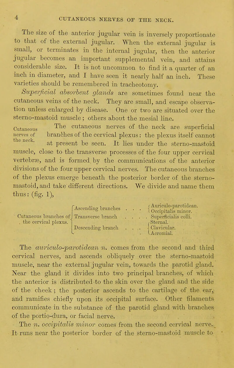 CUTANEOUS NERVES OE THE NECK. The size of the anterior jugular vein is inversely proportionate to that of the external jugular. When the external jugular is small, or terminates in the internal jugular, then the anterior jugular becomes an important supplemental vein, and attains considerable size. It is not uncommon to find it a quarter of an inch in diameter, and I have seen it nearly half an inch. These varieties should be remembered in tracheotomy. Suj)eTfiGial absorbent glands are sometimes found near the cutaneous veins of the neck. They are small, and escape observa- tion unless enlarged by disease. One or two are situated over the sterno-mastoid muscle; others about the mesial line. Cutaneous ^^^ cutaueous nerves of the neck are superficial nerves of branfches of the cervical plexus : the plexus itself cannot ^^'^ ' at present be seen. It lies under the sterno-mastoid muscle, close to the transverse processes of the four upper cervical vertebrae, and is formed by the communications of the anterior divisions of the four upper cervical nerves. The cutaneous branches of the plexus emerge beneath the posterior border of the sterno- mastoid, and take different directions. We divide and name them thus: (fig. 1), Cutaneous branches of , the cervical plexus. rAscending branches . . . j Am-ioiJo-pai-otidean. ° I uccipitalis nunor. Transverse branch .... Superficialis colli. / Sternal. Descending branch ... J Clavicular. (.Acromial. The aunculo-parotidean n. comes from the second and thii-d cervical nerves, and ascends obliquely over the sterno-mastoid muscle, near the external jugular vein, towards the jDarotid gland. Near the gland it divides into two principal branches, of whicli the anterior is distributed to the skin over the gland and the side of the cheek; the posterior ascends to the cartilage of the ear, and ramifies chiefly upon its occipital surface. Other filaments communicate in the substance of the parotid gland with branches of the portio-diu'a, or facial nerve. The n. occipitalis minor comes from the second cervical nerve. _ It runs near the posterior border o.f the sterno-mastoid muscle to