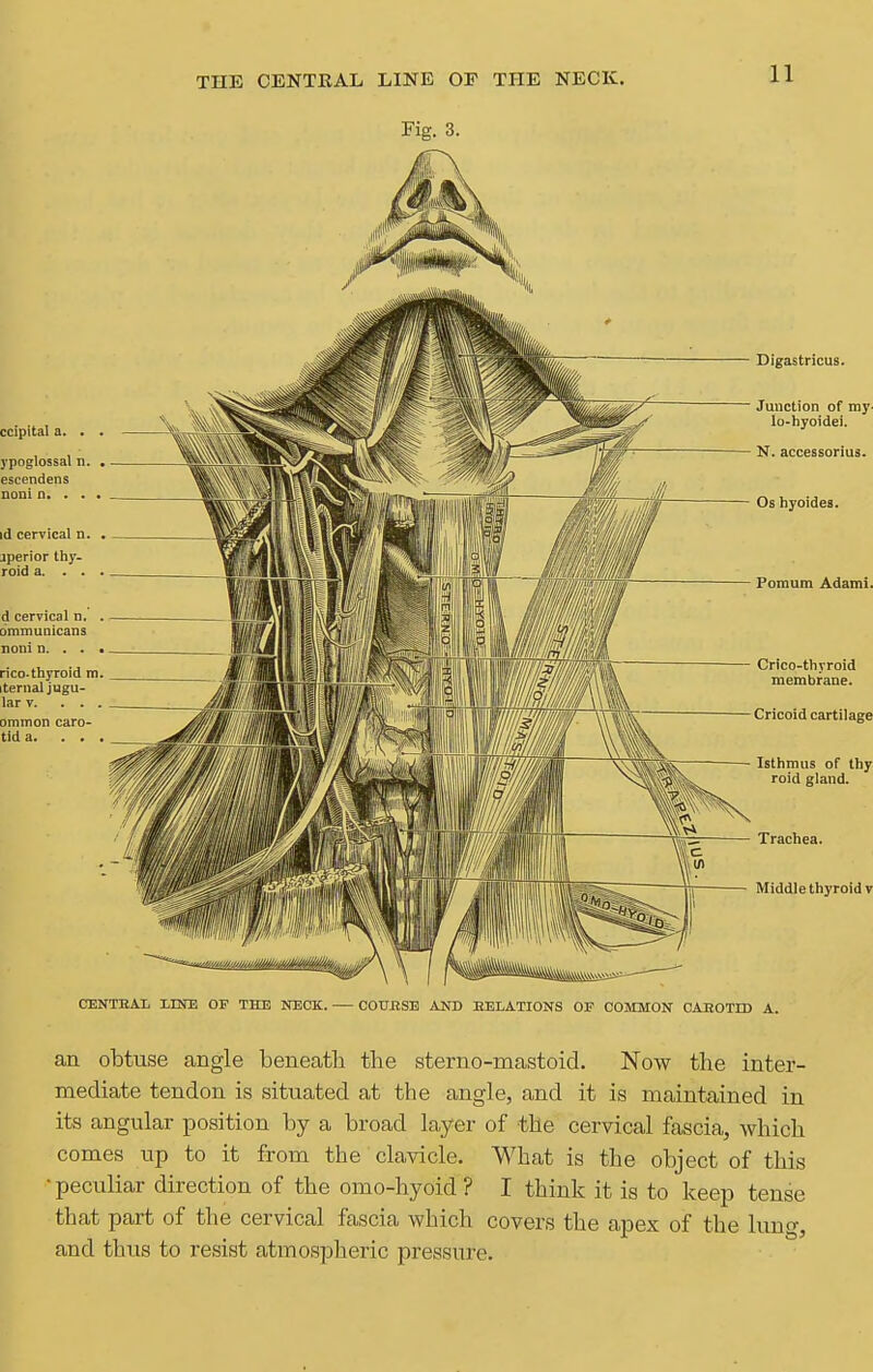 Fig. 3. 11 ccipital a. . ypoglossal n. escendens noni n. . . id cervical n. jperior thy- roid a. . . d cervical n, drnmunicans noni n. . . rico-thyroid m I ternal jugu- lar V. . . ommon caro- tid a. . . Digastricus. Junction of my- lo-hyoidei. N. accessorius. Os hyoides. Fomum Adami. Crico-thyroid membrane. Cricoid cartilage Isthmus of thy roid gland. Trachea. Middle thyroid v CENTEAL XHra OF THE NECK. COUBSB AND EELATIONS OF COMMON CAEOTID A. an obtuse angle beneath the sterno-mastoid. Now the inter- mediate tendon is situated at the angle, and it is maintained in its angular position by a broad layer of the cervical fascia, which comes up to it from the clavicle. What is the object of this • peculiar direction of the omo-hyoid ? I think it is to keep tense that part of the cervical fascia which covers the apex of the luuo-, and thus to resist atmospheric pressure.