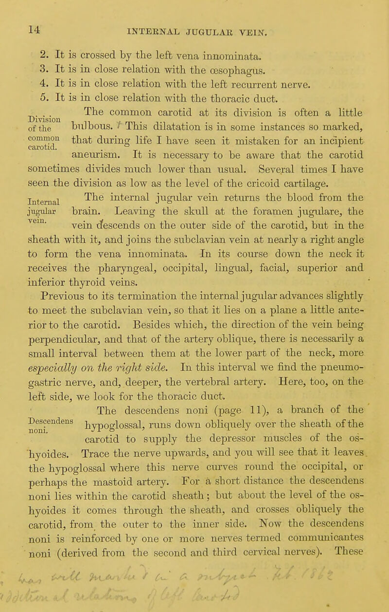 INTEENAL JUGULAR VEIN. 2. It is crossed by the left vena innominata. 3. It is in close relation with the oesophagus. 4. It is in close relation with the left recui-rent nerve. 5. It is in close relation with the thoracic duct. ^. . .^^ The common carotid at its division is often a little of the bulbous. / This dilatation is in some instances so marked, e^tid^ that during life I have seen it mistaken for an incipient aneurism. It is necessary to be aware that the carotid sometimes divides much lower than usual. Several times I have seen the division as low as the level of the cricoid cartilage. Internal '^^^ internal jugular vein returns the blood from the jugular brain. Leaving the skull at the foramen jugulare, the vein d'escends on the outer side of the carotid, but in the sheath with it, and joins the subclavian vein at nearly a right angle to form the vena innominata. In its course down the neck it receives the pharyngeal, occipital, lingual, facial, superior and inferior thyroid veins. Previous to its termination the internal jugular advances slightly to meet the subclavian vein, so that it lies on a plane a little ante- rior to the carotid. Besides which, the direction of the vein being perpendicular, and that of the artery oblique, there is necessarily a small interval between them at the lower part of the neck, more especially on the right side. In this interval we find the pneumo- gastric nerve, and, deeper, the vertebral artery. Here, too, on the left side, we look for the thoracic duct. The descendens noni (page 11), a branch of the nonr^'^^°^ hypoglossal, runs down obliquely over the sheath of the carotid to supply the depressor muscles of the os- hyoides. Trace the nerve upwards, and you will see that it leaves, the hypoglossal where this nerve curves round the occipital, or perhaps the mastoid artery. For a short distance the descendens noni lies within the carotid sheath ; but about the level of the os- hyoides it comes through the sheath, and crosses obliquely the carotid, from the outer to the inner side. Now the descendens noni is reinforced by one or more nerves termed communicantes noni (derived from the second and third cervical nerves). These