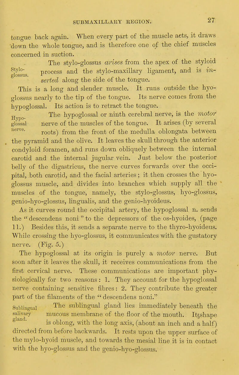 tongue back again. When every part of the muscle acts, it draws down the whole tongue, and is therefore one of the chief muscles concerned in suction. The stylo-glossus arises from the apex of the styloid glossus process and the stylo-maxillary ligament, and is in- serted along the side of the tongue. This is a long and slender muscle. It runs outside the hyo- glossus nearly to the tip of the tongue. Its nerve comes from the hypoglossal. Its action is to retract the tongue, gypg The hypoglossal or ninth cerebral nerve, is the motor glossal nerve of the muscles of the tongue. It arises (by several roots) from the front of the medulla oblongata between the pyramid and the olive. It leaves the skull through the anterior condyloid foramen, and runs down obliquely between the internal carotid and the internal jugular vein. Just below the posterior belly of the digastricus, the nerve curves forwards over the occi- pital, both carotid, and the facial arteries; it then crosses the hyo- glossus muscle, and divides into branches which supply all the ' muscles of the tongue, namely, the stylo-glossiis, hyo-glossus, genio-hyo-glossus, lingualis, and the genio-hyoideus. As it curves round the occipital artery, the hypoglossal n. sends the  descendens noni  to the depressors of the os-hyoides, (page 11.) Besides this, it sends a separate nerve to the thyro-hyoideus. Wliile crossing the hyo-glossus, it communicates with the gustatory nerve. (Fig. 5.) The hjrpoglossal at its origin is purely a motor nerve. But soon after it leaves the skull, it receives communications from the first cervical nerve. These communications are important phy- siologically for two reasons : 1. They account for the hypoglossal nerve containing sensitive fibres: 2. They contribute the greater part of the filaments of the  descendens noni. Sublingual '^^^ sublingual gland lies immediately beneath the salivary mucous membrane of the floor of the mouth. Itjshape gland. oblong, with the long axis, (about an inch and a half) directed from before backwards. It rests upon the upper surface of the mylo-hyoid muscle, and towards the mesial line it is in contact with the hyo-glossus and the genio-hyo-glossus.