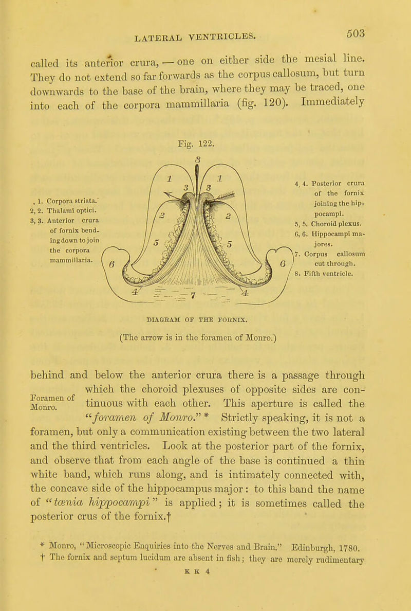 called its auterior crura, — one on either side the mesial line. They do not extend so far forwards as the corpus callosum, but turn downwards to the base of the brain, where they may be traced, one into each of the corpora mammillaria (fig. 120). Immediately behind and below the anterior crura there is a passage through which the choroid plexuses of opposite sides are con- Momo.^^ °^ tinuous with each other. This aperture is called the ■foramen of Mom^o. * Strictly speaking, it is not a foramen, but only a communication existing between the two lateral and the third ventricles. Look at the posterior part of the fornix, and observe that from each angle of the base is continued a thin white band, which runs along, and is intimately connected ^vith, the concave side of the hippocampus major: to this band the name of tcenia hippocampi is applied; it is sometimes called the posterior crus of the fornix.| * Monro,  Microscopic Enquiries into the Nerves and Brain. Edinburgli, 1780. t The fornix and septum lucidum are absent in fish; they ai'e merely rxidimeutai-y