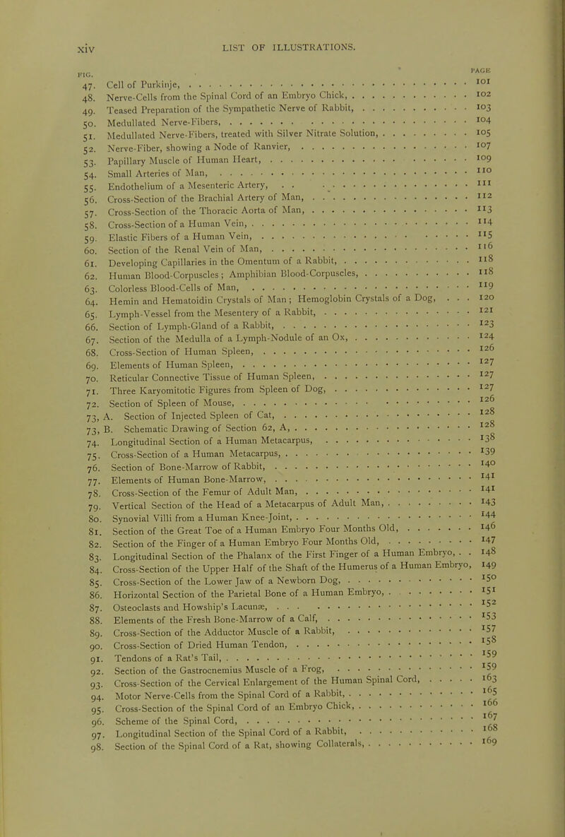 F.G. ^^^ 47. Cell of Purkiiije, 48. Nerve-Cells from the Spinal Cord of an Embryo Chick 102 49. Teased Preparation of the Sympathetic Nerve of Rabbit, 103 50. Medullated Nerve-Fibers 51. Medullated Nerve-Fibers, treated with Silver Nitrate Solution 105 52. Nerve-Fiber, showing a Node of Ranvier, io7 53. Papillary Muscle of Human Heart, lOQ 54. Small Arteries of Man 55. Endothelium of a Mesenteric Artery, . . I 56. Cross-Section of the Brachial Artery of Man, 2 57. Cross-Section of the Thoracic Aorta of Man, 3 58. Cross-Section of a Human Vein, 59. Elastic Fibers of a Human Vein, S 60. Section of the Renal Vein of Man, i'6 61. Developing Capillaries in the Omentum of a Rabbit . 62. Human Blood-Corpuscles ; Amphibian Blood-Corpuscles 118 63. Colorless Blood-Cells of Man 9 64. Hemin and Hematoidin Crystals of Man ; Hemoglobin Crystals of a Dog, ... 120 65. Lymph-Vessel from the Mesentery of a Rabbit 121 66. Section of Lymph-Gland of a Rabbit, ^23 67. Section of the Medulla of a Lymph-Nodule of an Ox, 124 68. Cross-Section of Human Spleen, 69. Elements of Human Spleen '^7 70. Reticular Connective Tissue of Human Spleen, 127 71. Three Karyomitotic Figures from Spleen of Dog, 127 72. Section of Spleen of Mouse 73. A. Section of Injected Spleen of Cat, 73. B. Schematic Drawing of Section 62, A '2 74. Longitudinal Section of a Human Metacarpus, '3 75. Cross-Section of a Human Metacarpus ^3! 76. Section of Bone-Marrow of Rabbit 77. Elements of Human Bone-Marrow, ''■^ 78. Cross-Section of the Femur of Adult Man, ^4 79. Vertical Section of the Head of a Metacarpus of Adult Man, 14. 80. Synovial Villi from a Human Knee-joint '4' 81. Section of the Great Toe of a Human Embryo Four Months Old, I4| 82. Section of the Finger of a Human Embryo Four Months Old, 14! 83. Longitudinal Section of the Phalanx of the First Finger of a Human Embryo, . . 14^ 84. Cross-Section of the Upper Half of the Shaft of the Humerus of a Human Erabo'o, I4' 85. Cross-Section of the Lower Jaw of a Newborn Dog ^5' 86. Horizontal Section of the Parietal Bone of a Human Embryo, ^5 87. Osteoclasts and Howship's Lacunae, ^5 88. Elements of the Fresh Bone-Marrow of a Calf, ^5. 89. Cross-Section of the Adductor Muscle of a Rabbit, '5 00. Cross-Section of Dried Human Tendon, '5' I c 91. Tendons of a Rat's Tail, 92. Section of the Gastrocnemius Muscle of a Frog, ^5 93. Cross-Section of the Cervical Enlargement of the Human Spinal Cord 16 94. Motor Nerve-Cells from the Spinal Cord of a Rabbit, ' 95. Cross-Section of the Spinal Cord of an Embryo Chick, 1° 96. Scheme of the Spinal Cord, 97. Longitudinal Section of the Spinal Cord of a Rabbit, ' 98. Section of the Spinal Cord of a Rat, showing Collaterals, 1°