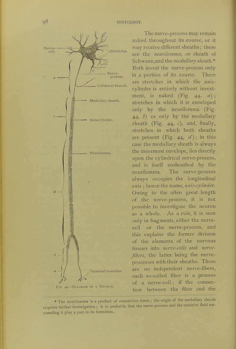 Dciidi ilcs. — Nerve- process. Collateral branch. Medullary shealh. Axis-cylinder. Neurilemma. Terminal branches. Fig 44.—Diagram of a Nei-ron. The nervc-proccss may remain naked throughout its course, or it may receive different sheaths; these are the ncurilemina, or sheath of Schwann,and the medtdlary slicatli* Both invest the nerve-process only in a portion of its course. There are stretches in which the axi.s- cyhnder is entirely without invest- ment, is naked (Fig. 44, d) ; stretches in which it is enveloped only by the neurilemma (Fig. 44, V) or only by the medullary sheath (Fig. 44, r), and, finally, stretches in which both sheaths are present (Fig. 44, d^\'m. this case the medullary sheath is always the innermost envelope, lies directly upon the cylindrical nerve-process, and is itself ensheathed by the neurilemma. The nerve-process always occupies the longitudinal axis ; hence the name, axis-cyliiidcr. Owing to the often great length of the nerve-process, it is not possible to investigate the neuron as a whole. As a rule, it is .seen only in fragments, either the nerve- cell or the nerve-process, and this explains the former division of the elements of the nervous tissues into ucrvc-cclls and noiic- fibers, the latter being the nerve- processes with their sheaths. There are no independent nerve-fibers, each so-called fiber is a process of a nerve-cell ; if the connec- tion between the fiber and the * The neurilemma is a product of connective tissue; the origin of the medullar)' sheath requires further investigation ; it is probal)le that the nerve-process and the nutritive fluid sur- rounding it play a part in its formation.