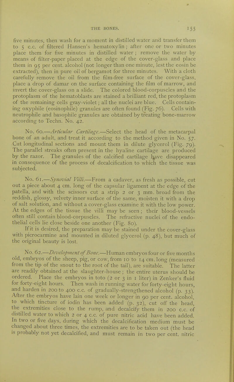 five minutes, then wash for a moment in distilled water and transfer them to 5 c.c. of filtered Hansen's hematoxylin ; after one or two minutes place them for five minutes in distilled water ; remove the water by means of filter-paper placed at the edge of the cover-glass and place them in 95 per cent, alcohol (not longer than one minute, lest the eosin be extracted), then in pure oil of bergamot for three minutes. With a cloth carefully remove the oil from the film-free surface of the cover-glass, place a drop of damar on the surface containing the film of marrow, and invert the cover-glass on a slide. The colored blood-corpuscles and the protoplasm of the hematoblasts are stained a brilliant red, the protoplasm of the remaining cells gray-violet; all the nuclei are blue. Cells contain- ing oxyphile (eosinophile) granules are often found (Fig. 76). Cells with neutrophile and basophile granules are obtained by treating bone-marrow according to Techn. No. 42. No. 60.—Articular Cartilage.—Select the head of the metacarpal bone of an adult, and treat it according to the method given in No. 57. Cut longitudinal sections and mount them in dilute glycerol (Fig. 79). The parallel streaks often present in the hyaline cartilage are produced by the razor. The granules of the calcified cartilage l\ave disappeared in consequence of the process of decalcification to which the tissue was subjected. No. 61.—Synovial Villi.—From a cadaver, as fresh as possible, cut out a piece about 4 cm. long of the capsular ligament at the edge of the patella, and with the scissors cut a strip 2 or 3 mm. broad from the reddish, glossy, velvety inner surface of the same, moisten it with a drop of salt solution, and without a cover-glass examine it with the low power. At the edges of the tissue the villi may be seen ; their blood-vessels often still contain blood-corpuscles. The refractive nuclei of the endo- thelial cells lie close beside one another (Fig. 80). If it is desired, the preparation may be stained under the cover-glass with picrocarmine and mounted in diluted glycerol (p. 48), but much of the original beauty is lost. No. 62.—Development of Bone.—Human embryos four or five months old, embryos of the sheep, pig, or cow, from 10 to 14 cm. long (measured from the tip of the snout to the root of the tail), are suitable. The latter are readily obtained at the slaughter-house ; the entire uterus should be ordered. Place the embryos in toto (2 or 3 in i liter) in Zenker's fluid for forty-eight hours. Then wash in running water for forty-eight hours, and harden in 200 to 400 c.c. of gradually-strengthened alcohol (p. 33). After the embryos have lain one week or longer in 90 per cent, alcohol, to which tincture of iodin has been added (p. 32), cut off the head', the _ extremities close to the rump, and decalcify them in 200 c.c. of distilled water to which 2 or 4 c.c. of pure nitric acid have been added. In two or five days, during which the decalcification medium must be changed about three times, the extremities are to be taken out (the head IS probably not yet decalcified, and must remain in two per cent, nitric