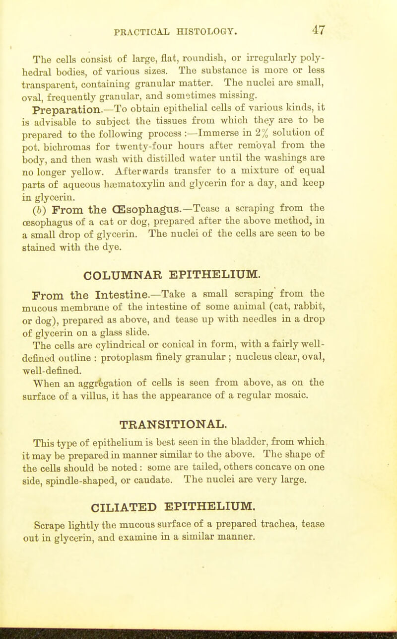 The cells consist of large, flat, roundish, or irregularly poly- hedral bodies, of various sizes. The substance is more or less transparent, containing granular matter. The nuclei are small, oval, frequently granular, and sometimes missing. Preparation.—To obtain epithelial cells of various kinds, it is advisable to subject the tissues from which they are to be prepared to the following process :—Immerse in 2% solution of pot. bichromas for twenty-four hours after removal from the body, and then wash with distilled water until the washings are no longer yellow. Afterwards transfer to a mixture of equal parts of aqueous hsematoxyUn and glycerin for a day, and keep in glycerin. (b) From the CEsophagus.—Tease a scraping from the oesophagus of a cat or dog, prepared after the above method, in a small drop of glycerin. The nuclei of the cells are seen to be stained with the dye. COLUMNAR EPITHELIUM. From the Intestine.—Take a small scraping from the mucous membrane of the intestine of some animal (cat, rabbit, or dog), prepared as above, and tease up with needles in a drop of glycerin on a glass slide. The cells are cylindrical or conical in form, with a fairly well- defined outline : protoplasm finely granular ; nucleus clear, oval, well-defined. When an aggregation of cells is seen from above, as on the surface of a villus, it has the appearance of a regular mosaic. TRANSITIONAL. This type of epithelium is best seen in the bladder, fi-om which it may be prepared in manner similar to the above. The shape of the cells should be noted: some are tailed, others concave on one side, spindle-shaped, or caudate. The nuclei are very large. CILIATED EPITHELIUM. Scrape lightly the mucous surface of a prepared trachea, tease out in glycerin, and examine in a similar manner.