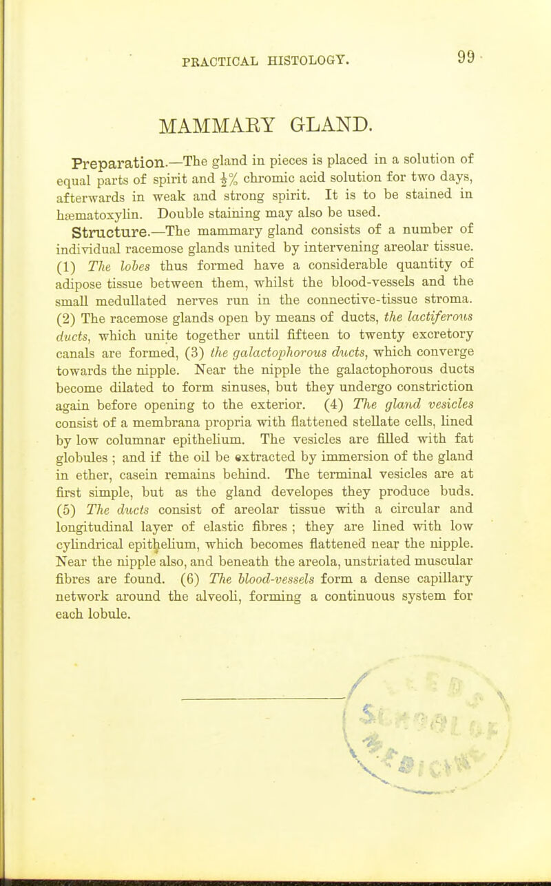 MAMMAEY GLAND. Preparation.—The gland in pieces is placed in a solution of equal parts of spirit and ^% chromic acid solution for two days, afterwards in weak and strong spirit. It is to be stained in hajmatoxylin. Double staining may also be used. Structure.—The mammary gland consists of a number of individual racemose glands united by intervening areolar tissue. (1) The lobes thus formed have a considerable quantity of adipose tissue between them, whilst the blood-vessels and the small medullated nerves run in the connective-tissue stroma. (2) The racemose glands open by means of ducts, the lactiferous ducts, which unite together until fifteen to twenty excretory canals are formed, (3) the galactophorous ducts, which converge towards the nipple. Near the nipple the galactophorous ducts become dilated to form sinuses, but they undergo constriction again before opening to the exterior. (4) The gland vesicles consist of a membrana propria with flattened stellate cells, lined by low columnar epithelium. The vesicles are filled with fat globules ; and if the oil be extracted by immersion of the gland in ether, casein remains behind. The terminal vesicles are at fijst simple, but as the gland developes they produce buds. (5) The ducts consist of areolar tissue with a circular and longitudinal layer of elastic fibres ; they are lined with low cylindrical epithelium, which becomes flattened near the nipple. Near the nipple also, and beneath the areola, unstriated muscular fibres are found. (6) The blood-vessels form a dense capillary network around the alveoli, forming a continuous system for each lobule.