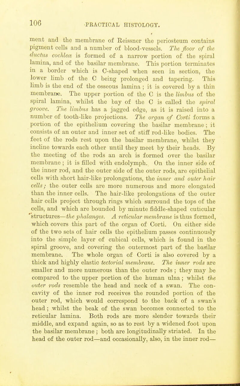 ment and the membrarie of Reissner the periosteum contains pigment cells and a number of blood-vessels. The floor of the ductus cochlea is formed of a narrow portion of the spiral lamina, and of the basilar membrane. This portion terminates in a border which is C-shaped when seen in section, the lower hmb of the C being prolonged and tapei-ing. This limb is the end of the osseous lamina ; it is covered by a thin membrane. The upper portion of the C is the limhus of the spiral lamina, whilst the bay of the C is called the spiral groove. The limhns has a jagged edge, as it is raised into a number of tooth-like projections. The organ of Corii forms a portion of the epithelium covering the basilar membrane; it consists of an outer and inner set of stiff rod-like bodies. The feet of the rods rest upon the basilar membrane, whilst they incUue towards each other until they meet by their heads. By the meeting of the rods an arch is formed over the basilar membrane; it is filled with endolymph. On the inner side of the inner rod, and the outer side of the outer rods, are epithelial cells with short hair-like prolongations, the inner and outer hair cells; the outer cells are more numerous and more elongated than the inner cells. The hair-like prolongations of the outer hair cells project through rings which surround the tops of the cells, and which are bounded by minute fiddle-shaped cuticular 'structures—the phalanges. A reticular membrane is thus formed, which covers this part of the organ of Corti. On either side of the two sets of hair cells the epithelium passes continuously into the simple layer of cubical cells, which is found in the spiral groove, and covering the outermost part of the basilar membrane. The whole organ of Corti is also covered by a thick and highly elastic tectorial membrane. The inner rods are smaller and more numerous than the outer rods ; they may be compared to the upper portion of the human ulna; whilst the outer rods resemble the head and neck of a swan. The con- cavity of the inner rod receives the rounded portion of the outer rod, which would correspond to the back of a swan's head; whilst the beak of the swan becomes connected to the reticular lamina. Both rods are more slender towards their middle, and expand again, so as to rest by a widened foot upon the basilar membrane ; both are longitudinally striated. In the head of the outer rod—and occasionally, also, in the inner rod—