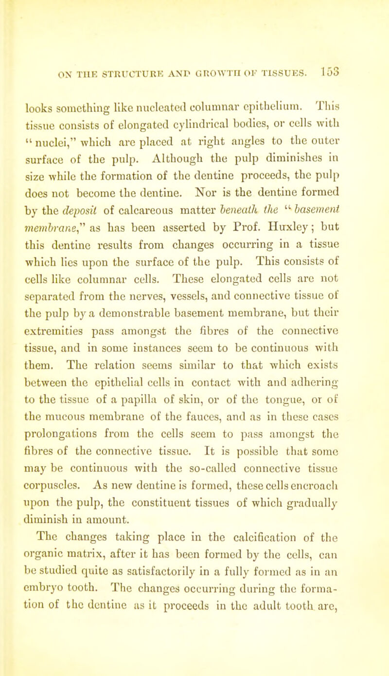 looks something like nucleated columnar epithelium. This tissue consists of elongated cylindrical bodies, or cells with  nuclei, which are placed at right angles to the outer surface of the pulp. Although the pulp diminishes in size while the formation of the dentine proceeds, the pulp does not become the dentine. Nor is the dentine formed by the deposit of calcareous matter heneaih the  basement memh-ane as has been asserted by Prof. Huxley; but this dentine results from changes occurring in a tissue which lies upon the surface of the pulp. This consists of cells like columnar cells. These elongated cells are not separated from the nerves, vessels, and connective tissue of the pulp by a demonstrable basement membrane, but their extremities pass amongst the fibres of the connective tissue, and in some instances seem to be continuous with them. The relation seems similar to that which exists between the epithelial cells in contact with and adhering to the tissue of a papilla of skin, or of the tongue, or of the mucous membrane of the fauces, and as in these cases prolongations from the cells seem to pass amongst the fibres of the connective tissue. It is possible that some may be continuous with the so-called connective tissue corpuscles. As new dentine is formed, these cells encroach upon the pulp, the constituent tissues of which gradually diminish in amount. The changes taking place in the calcification of the organic matrix, after it has been formed by the cells, can be studied quite as satisfactorily in a fully formed as in an embryo tooth. The changes occurring during the forma- tion of the dentine as it proceeds in the adult tooth arc.