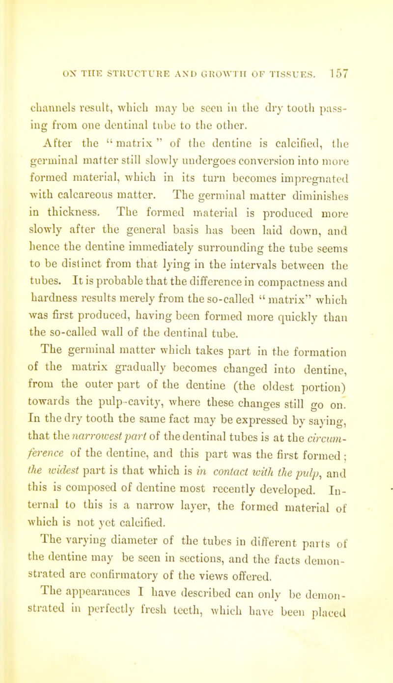 channels result, wliicb may be sccu in the dry tooth pass- ing from one dentinal tube to the other. After the matrix of the dentine is calcified, the germinal matter still slowly undergoes conversion into more formed material, which in its turn becomes impregnated with calcareous matter. The germinal matter diminishes in thickness. The formed material is produced more slowly after the general basis has been laid down, and hence the dentine immediately surrounding the tube seems to be distinct from that lying in the intervals between the tubes. It is probable that the difference in compactness and hardness results merely from the so-called  matrix' which was first produced, having been formed more quickly than the so-called wall of the dentinal tube. The germinal matter which takes part in the formation of the matrix gradually becomes changed into dentine, from the outer part of the dentine (the oldest portion) towards the pulp -cavity, where these changes still go on. In the dry tooth the same fact may be expressed by saying, that the narrotoest part of the dentinal tubes is at the circum- ference of the dentine, and this part was the first formed ; the widest part is that which is in contact loith the pulp, and this is composed of dentine most recently developed. In- ternal to this is a narrow layer, the formed material of which is not yet calcified. The varying diameter of the tubes in different parts of the dentine may be seen in sections, and the facts demon- strated are confirmatory of the views offered. The appearances I have described can only be demon- strated in perfectly fresh teeth, which have been placed