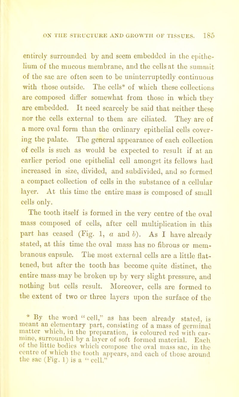 entiruly surrounclcd by and seem embedded in the c])itlic- lium of the mucous membrane, and the cells at the summit of the sac are often seen to be uninterruptedly continuous with those outside. The cells* of which these collections are composed differ somewhat from those in which they ai'e embedded. It need scarcely be said that neither these nor the cells external to them are ciliated. They are of a more oval form than the ordinary epithelial cells cover- ing the palate. The general appearance of each collection of cells is such as would be expected to result if at an earlier period one epithelial cell amongst its fellows hud increased in size, divided, and subdivided, and so formed a compact collection of cells in the substance of a cellular layer. At this time the entire mass is composed of suidl cells only. The tooth itself is formed in the very centre of the oval mass composed of cells, after cell multiplication in this part has ceased (Fig. 1, a and h). As I have already stated, at this time the oval mass has no fibrous or mem- branous capsule. The most external cells are a little flat- tened, but after the tooth has become quite distinct, the entire mass may be broken up by very slight pressure, and nothing but cells result. Moreover, cells are formed to the extent of two or three layers upon the surface of the * By the word  cell,' as has been already stated, is meant an elementary part, consisting of a mass of germinal matter which, in the preparation, is coloured red with car- mine, surrounded by a liiyer of soft formed material. Eacli of tliG little bodies which compose the oval mass sac, in the centre of which the tootb appears, and each uf those around tlie sac (Fig. 1) is a  cell,