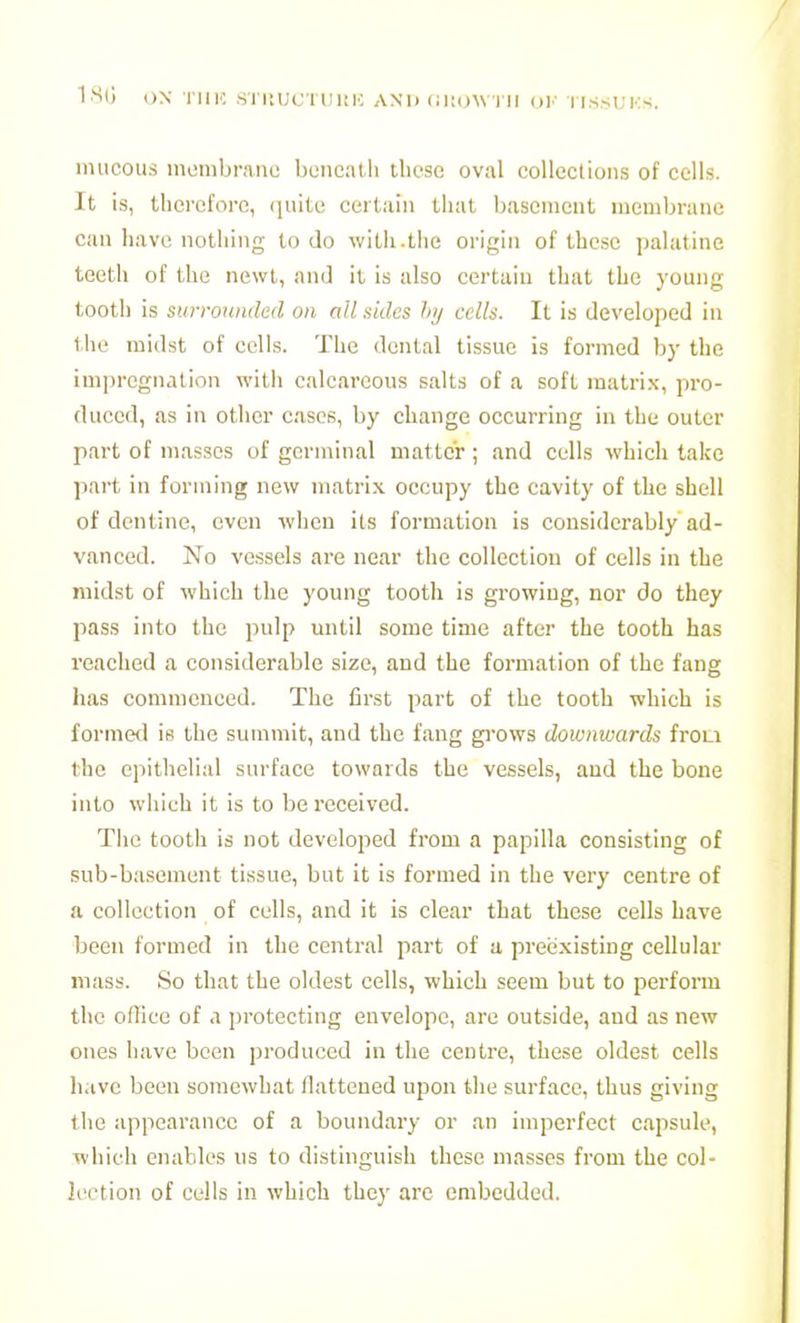 ISi; ON rinc STItUCTUKK AND (IKOWTII OK -IISSUKS. mucous membrane beiicaUi tliese oval collections of cells. It is, therefore, ijuite certain that basement membrane can have nothing to do with.the origin of these palatine teeth of the newt, and it is also certain that the young tooth is stirroiinded on all auks hij cells. It is developed in the midst of cells. The dental tissue is formed by the impregnation with calcareous salts of a soft matrix, pro- duced, as in other cases, by change occurring in the outer part of masses of germinal matter ; and cells which take part in forming new matrix occupy the cavity of the shell of dentine, even when its formation is considerably ad- vanced. No vessels are near the collection of cells in the midst of which the young tooth is growing, nor do they pass into the pulp until some time after the tooth has reached a considerable size, and the formation of the fang has commenced. The first part of the tooth which is formed is the summit, and the fang gi-ows downwards frou the epithelial surface towards the vessels, and the bone into which it is to be received. Tiie tooth is not developed from a papilla consisting of sub-basement tissue, but it is formed in the very centre of a collection of cells, and it is clear that these cells have been formed in the central part of a preexisting cellular mass. So that the oldest cells, which seem but to perform the office of a protecting envelope, are outside, and as new ones have been produced in the centre, these oldest cells have been somewhat flattened upon the surface, thus giving the appearance of a boundary or an imperfect capsule, which enables us to distinguish these masses from the col- lection of cells in which they are embedded.