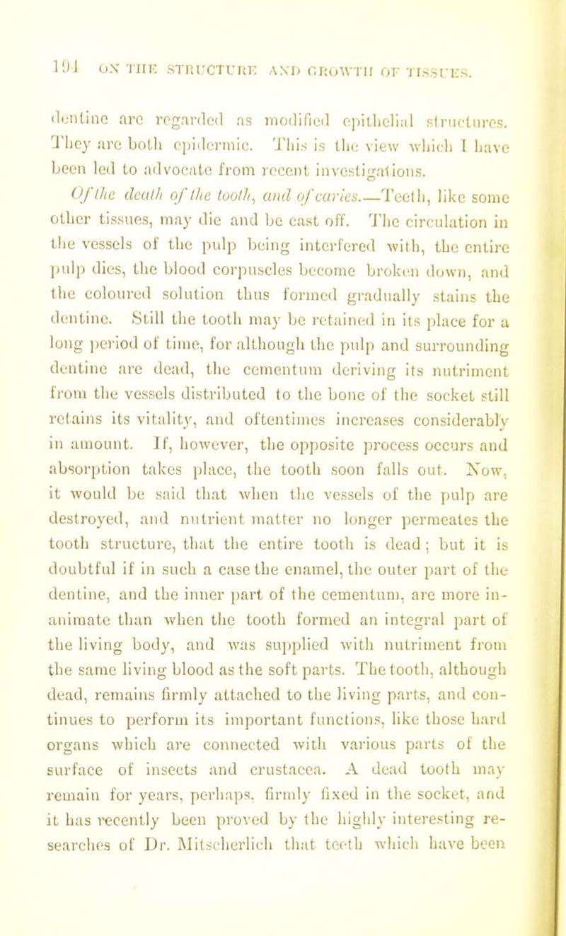 il(_iiilinn arc reganleil ns modifiud opiUielial Piniclnros. 'J'licy arc bol.li epidermic. This is tlie view wliicli 1 have been led to advocate from recent investigations. Of the death of iJie tooth, and of caries Teeth, like some other tissues, may die and be cast off. 1'lic circulation in the vessels of the pulp being interfered with, the entire jiulp dies, the blood corpuscles become broken down, and the coloured solution thus formed gradually stains the dentine. Still the tooth may be retained in its place for a long ]jei'iod of time, for although the pulp and surrounding dentine are dead, the cementum deriving its nutriment from the vessels distributed to the bone of the socket still retains its vitality, and oftentimes increases considerably in amount. If, however, the opposite process occurs and absorption takes place, the tooth soon falls out. Now, it would be said that when tlic vessels of the pulp are destroyed, and nutrient matter no longer permeates the tooth structure, that the entire tooth is dead ; but it is doubtful if in such a case the enamel, the outer part of the dentine, and the inner part of the cementum, are more in- animate than when the tooth formed an integral part of the living body, and was supplied with nutriment from the same living blood as the soft parts. The tooth, although dead, remains firmly attached to the living parts, and con- tinues to perform its important functions, like those hard organs which are connected with various parts of the surface of insects and Crustacea. A dead tooth may remain for years, perhaps, firmly ti.xed in the socket, and it has recently been proved by the highly interesting re- searches of Dr. Mitscherlich that teeth which have been