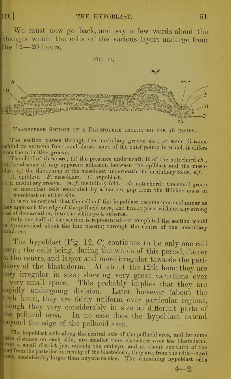 We must now go back, and say a few words about the ;hanges which the cells of the various layers undergo from he I'l—20 hours. Fig. 12. A J TWO Tkassvehse Section op a Blastoderm incubated eor i8 hours. c The section passes through the medullary groove mc, at some distance f>ehind its extreme front, and shews some of the chief points in which it differs rom the primitive groove. The chief of these are, (i) the presence underneath it of the notofhord ch., 2) the absence of any apparent adhesion between the epiblaat and the meso- iilast, {3) the thickening of the niesoblast underneath the medullary folds, mf. A. epiblast. B. niesoblast. C. hypoblast., ,1. c. medullary groove, m. f. medullary fold. ch. notochord: the small group of mesoblast cells separated by a narrow gap from the thicker mass of niesoblast on either side. It is to be noticed that the cells of the hypoblast become more columnar as i-hey approach the edge of the pellucid area, and finally pass, without any strong btie of-demarcation, into the white-volk aoheres. Only one half of the section is represented—if completed the section would e symmetrical about the line passing through the centre of the medullary •anal, mc. The hypoblast (Fig. 12, C) continues to be only one cell leep; the cells being, during the whole of this period, flatter a the centre, and larger and more irregular towards the peri- ■)hery of the blastoderm. At about the 12th hour they are •ery irregular in size; shewing very great variations over - very small space. This probably implies that they are apidly undergoing division. Later, however (about the ^^<th hour), they are fairly uniform over particular regions, liough they vary considerably in size at different parts of he pellucid area. In- no case does the hypoblast extend )eyond the edge of the pellucid area. Tlie hypoblast cells along the central axis of the pellucid area, and for some •ttle distance on each side, are smaller than elsewhere over the blastoderm, 'ver a small district just outside the embryo, and at about one-third of the ■'ay from tlie posterior extremity of the blastoderm, they are, from the i8th—23ril ■.our, couBiderably larger than anywhtre else. The remaining hypoblast cells 4—2