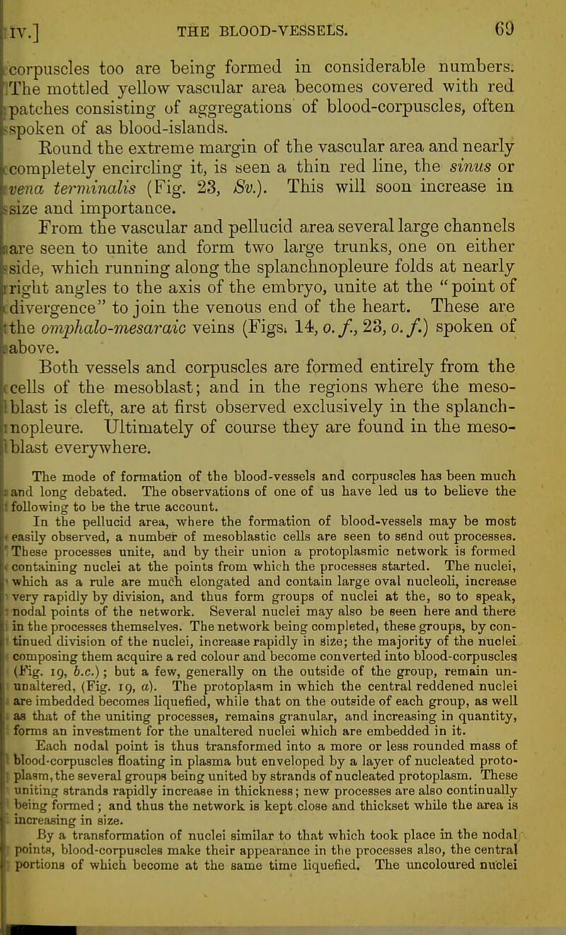 icorpuscles too are being formed in considerable numbers; IThe mottled yellow vascular area becomes covered with red [patches consisting of aggregations of blood-corpuscles, often ispoken of as blood-islands. Bound the extreme margin of the vascular area and nearly ccompletely encircling it, is seen a thin red line, the sinus or tvena terminalis (Fig, 23, Sv.). This will soon increase in ssize and importance. From the vascular and pellucid area several large channels lare seen to unite and form two large trunks, one on either sside, which running along the splanchnopleure folds at nearly rright angles to the axis of the embryo, unite at the  point of [divergence to join the venous end of the heart. These are tthe omphalo-mesaraic veins (FigS; 14, o.f., 23, o.f.) spoken of labove. Both vessels and corpuscles are formed entirely from the ccells of the mesoblast; and in the regions where the meso- l blast is cleft, are at first observed exclusively in the splanch- inopleure. Ultimately of course they are found in the meso- I blast everywhere. The mode of formation of the blood-vessels and corpuscles has been much land long debated. The observations of one of us have led us to beUeve the f following to be the true account. In the pellucid area, where the formation of blood-vessels may be most • easily observed, a numbei: of mesoblastic cells are seen to s6nd out processes. 1 These processes unite, and by their union a protoplasmic network is formed (containing nuclei at the points from which the processes started. The nuclei, ^ which as a rule are mu6h elongated and contain large oval nucleoli, increase ■< very rapidly by division, and thus form groups of nuclei at the, so to speak, 1 nodal points of the network. Several nuclei may also be seen here and there i in the processes themselves. The network being completed, these groups, by con- t tinued division of the nuclei, increase rapidly in size; the majority of the nuclei ( composing them acquire a red colour and become converted into blood-corpusclesi (Fig. 19, b.c.); but a few, generally on the outside of the group, remain un- • unaltered, (Fig. 19, a). The protoplasm in which the central reddened nuclei J are imbedded becomes liquefied, while that on the outside of each group, as well ; as that of the uniting processes, remains granular, and increasing in quantity, ■ forms an investment for the unaltered nuclei which are embedded in it. Each nodal point is thus transformed into a more or less rounded mass of \ blood-corpuscles floating in plasma but enveloped by a layer of nucleated proto- 1 plasm, the several groups being united by strands of nucleated protoplasm. These • uniting strands rapidly increase in thickness; new processes are also continually J being formed ; and thus the network is kept close and thickset while the area ia L increasing in size. By a transformation of nuclei similar to that which took place in the nodal ■ points, blood-corpuscles make their appearance in the processes also, the central 1 portions of which become at the same time liquefied. The uncoloured nuclei ■