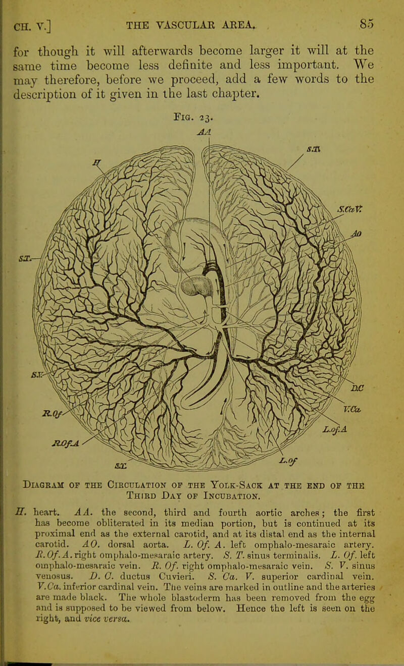 CH. v.] for though it will afterwards become larger it will at the same time become less definite and less important. We may therefore, before we proceed, add a few words to the description of it given in the last chapter. Fig. 23. AA DUGRAM OF THE CIRCULATION OP THE YoLK-SaOK AT THE END OF THE Third Day op Incubation. H. heart. AA. the second, third and fourth aortic arches; the first has becorne obliterated in its median portion, but is continued at its proximal end as the external carotid, and at its distal end as the internal carotid. AO. dorsal aorta. L. Of. A. left oraphalo-mesaraic artery. R.Of.A.righi omphalo-mesaraic artery. S. sinus terininalis. L. Of. left oinphalo-mesaraio vein. R. Of. right omplialo-mesaraic vein. S. V. sinus veuosus. D. G. ductus Cuvieri. S. Ca. V. superior oardin;il vein. V.Ca. inferior cardinal vein. The veins are marked in outline and the arteries are made black. The whole blastoderm has been removed from the egg and is supposed to be viewed from below. Hence the left is seen on the right, and vice versa.