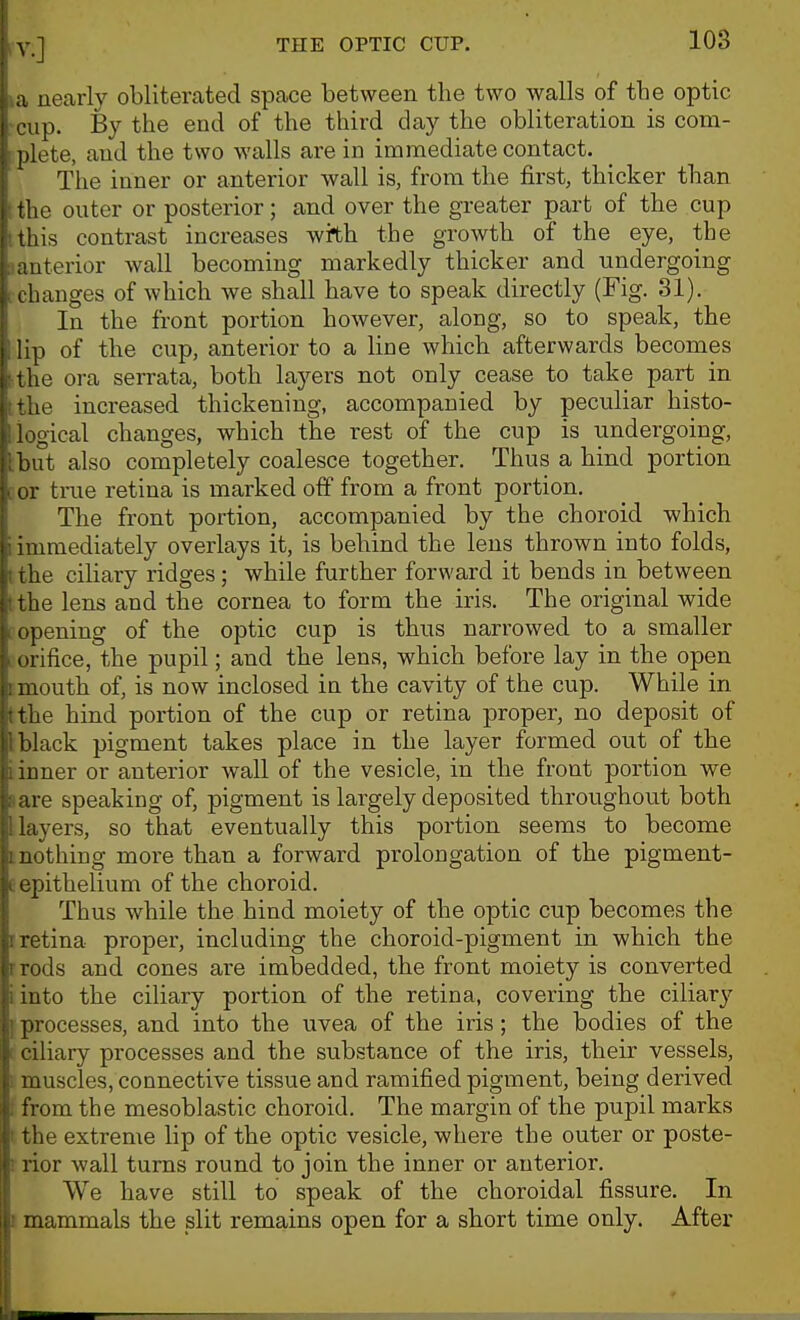 ka nearly obliterated space between the two walls of the optic -cup. By the end of the third day the obliteration is com- plete, and the two walls are in immediate contact. The inner or anterior wall is, from the first, thicker than t the outer or posterior; and over the greater part of the cup [this contrast increases with the growth of the eye, the ;ianterior wall becoming markedly thicker and undergoing [ Changes of which we shall have to speak directly (Fig. 31). In the front portion however, along, so to speak, the lip of the cup, anterior to a line which afterwards becomes tthe ora serrata, both layers not only cease to take part in tthe increased thickening, accompanied by peculiar histo- logical changes, which the rest of the cup is undergoing, tbut also completely coalesce together. Thus a hind portion cor true retina is marked off from a front portion. The front portion, accompanied by the choroid which i immediately overlays it, is behind the lens thrown into folds, tthe ciliary ridges; while further forward it bends in between t the lens and the cornea to form the iris. The original wide c opening of the optic cup is thus narrowed to a smaller . orifice, the pupil; and the lens, which before lay in the open tmouth of, is now inclosed in the cavity of the cup. While in tthe hind portion of the cup or retina proper, no deposit of tblack pigment takes place in the layer formed out of the i inner or anterior wall of the vesicle, in the front portion we aare speaking of, pigment is largely deposited throughout both I layers, so that eventually this portion seems to become I nothing more than a forward prolongation of the pigment- E epithelium of the choroid. Thus while the hind moiety of the optic cup becomes the r retina proper, including the choroid-pigment in which the rrods and cones are imbedded, the front moiety is converted iinto the ciliary portion of the retina, covering the ciliar}' [processes, and into the uvea of the iris; the bodies of the [ ciliary processes and the substance of the iris, their vessels, I muscles, connective tissue and ramified pigment, being derived t from the mesoblastic choroid. The margin of the pupil marks I the extreme lip of the optic vesicle, where the outer or poste- rrior wall turns round to join the inner or anterior. We have still to speak of the choroidal fissure. In I mammals the slit remains open for a short time only. After