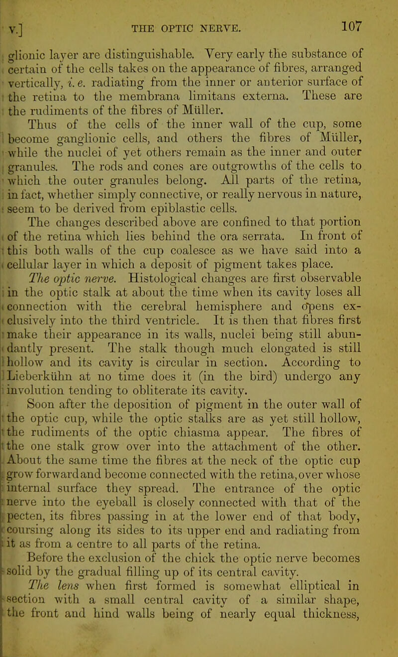 , glionic layer are distinguishable. Very early the substance of : certain of the cells takes on the appearance of fibres, arranged ' vertically, i.e. radiating from the inner or anterior surface of ' the retiua to the membrana limitans externa. These are the rudiments of the fibres of Miiller. Thus of the cells of the inner wall of the cup, some i become ganglionic cells, and others the fibres of Miiller, ^ while the nuclei of yet others remain 9.s the inner and outer , granules. The rods and cones are outgrowths of the cells to ' which the outer granules belong. All parts of the retina, . in fact, whether simply connective, or really nervous in nature, ; seem to be derived from epiblastic cells. The changes described above are confined to that portion »of the retina which lies behind the ora serrata. In front of : this both walls of the cup coalesce as we have said into a t cellular layer in which a deposit of pigment takes place. The optic nerve. Histological changes are first observable i in the optic stalk at about the time when its cavity loses all I connection with the cerebral hemisphere and ©pens ex- clusively into the third ventricle. It is then that fibres first 3 make their appearance in its walls, nuclei being still abun- (dantly present. The stalk though much elongated is still 1 hollow and its cavity is circular in section. According to JLieberkiihn at no time does it (in the bird) undergo any i involution tending to obliterate its cavity. • Soon after the deposition of pigment in the outer wall of t the optic cup, while the optic stalks are as yet still hollow, tthe rudiments of the optic chiasma appear. The fibres of tthe one stalk grow over into the attachment of the other. . About the same time the fibres at the neck of the optic cup .grow forward and become connected with the retina, over whose : internal surface they spread. The entrance of the optic I nerve into the eyeball is closely connected with that of the , pecten, its fibres passing in at the lower end of that body, 1 coursing along its sides to its upper end and radiating from i it as from a centre to all parts of the retina. Before the exclusion of the chick the optic nerve becomes ^solid by the gradual filling up of its central cavity. The lens when first formed is somewhat elliptical in ■section with a small central cavity of a similar shape, tlie front and hind walls being of nearly equal thickness,