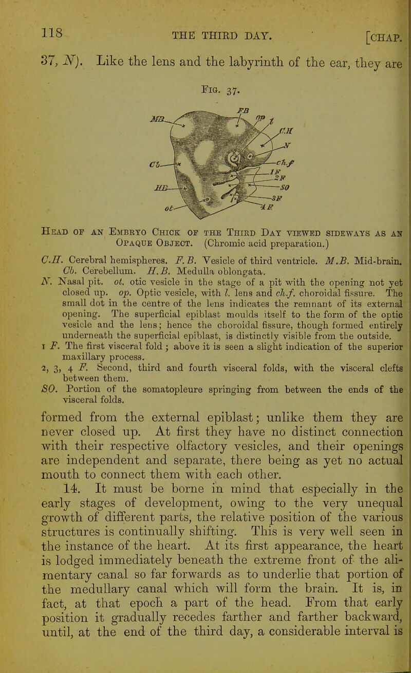 37, N). Like the lens and the labyrinth of the ear, they are Fig. 37. Head op an Embeto Chick of the Thikd Day viewed sideways as ait Opaque Object. (Chromic acid preparatiou.) C.ff. Cerebral hemispheres. F. B. Vesicle of third ventricle. M.£. Mid-brain. Cb. Cerebellum. II. B. Medulla oblongata. N. Nasal pit. ol. otic vesicle in the stage of a pit with the opening not yet closed up. op. Optic vesicle, with I. lens and ch.f. choroidal fissure. The small dot in the centre of the Itns indicates the remnant of its external opening. The superficial epiblast moulds itself to the form of the optic vesicle and the lens; hence the choroidal fis.sure, though formed entirely underneath the superficial epiblast, is distinctly visible from the outside. I F. The first visceral fold ; above it is seen a slight indication of the superior maxillary process. 2, 3, 4 F. Second, third and fourth visceral folds, with the visceral clefts between them. SO. Portion of the somatopleure springing from between the ends of the visceral folds. formed from the external epiblast; unlike them they are never closed up. At first they have no distinct connection with their respective olfactory vesicles, and their openings are independent and separate, there being as yet no actual mouth to connect them with each other. 14. It must be borne in mind that especially in the early stages of development, owing to the very unequal growth of different parts, the relative position of the various structures is continually shifting. This is very well seen in the instance of the heart. At its first appearance, the heart is lodged immediately beneath the extreme front of the ali- mentary canal so far forwards as to underlie that portion of the medullary canal which will form the brain. It is, in fact, at that epoch a part of the head. From that early position it gradually recedes farther and farther backward, until, at the end of the third day, a considerable interval is