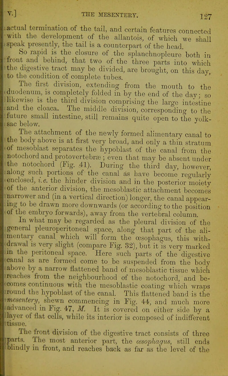 i ^'■] THE MESENTERY. 127 actual termination of the tail, and certain features connected with the development of the allantois, of which we shall ^peak presently, the tail is a counterpart of the head. So rapid is the closure of the splanchnopleure both in ront and behind, that two of the three parts into which Ue digestive tract may be divided, are brought, on this day o the condition of complete tubes. The first division, extending from the mouth to the (luodenuna, is completely folded in by the end of the day; so . likewise is the third division comprising the large intestine ;and the cloaca. The middle division, corresponding to the : future small intestine, still remains quite open to the yolk- i sac below. The attachment of the newly formed alimentary canal to the body above is at first very broad, and only a thin stratum of mesoblast separates the hypoblast of the canal from the notochord and protovertebrjB ; even that may be absent under the notochord (Fig. 41). During the third day, however, along such portions of the canal as have become regularly -enclosed, i.e. the hinder division and in the posterior moiety (of the anterior division, the mesoblastic attachment becomes 1 narrower and (in a vertical direction) longer, the canal appear- ing to be drawn more downwards (or according to the position <of the embryo forwards), away from the vertebral column. In what may be regarded as the pleural division of the general pleuroperitoneal space, along that part of the ali- mentary canal which will form the oesophagus, this with- drawal IS very slight (compare Fig. 32), but it is very marked in the peritoneal space. Here such parts of the digestive canal as are formed come to be suspended from the body above by a narrow flattened band of mesoblastic tissue which ireaches from the neighbourhood of the notochord, and be- ' comes continuous with the mesoblastic coating which wraps iround the hypoblast of the canal. This flattened band is the ^mesentery, shewn commencing in Fig. 44, and much more -advanced in Fig. 47, M. It is covered on either side by a ; layer of flat cells, while its interior is composed of indifferent t tissue. The front division of the digestive tract consists of three iparts. The most anterior part, the cesophagus, still ends Iblindly in front, and reaches back as far as the level of the