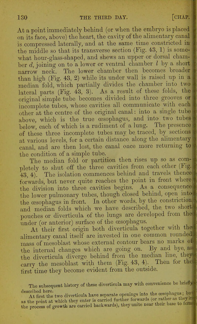 At a point immediately behind (or when the embryo is placed on its face, above) the heart, the cavity of the alimentary canal is compressed laterally, and at the same time constricted in the middle so that its transverse section (Fig. 43, 1) is some- what hour-glass-shaped, and shews an upper or dorsal cham- ber d, joining on to a lower or ventral chamber I by a short narrow neck. The lower chamber then becomes broader than high (Fig. 43, 2) while its under wall is raised up in a median°fold, which partially divides the chamber into two j lateral parts (Fig. 43, 8). As a result of these folds, the original simple tube becomes divided into three grooves or incomplete tubes, whose cavities all communicate with each other at the centre of the original canal: into a single tuba above, which is the true oesophagus, and into two tubes below, each of which is a rudiment of a lung. The presence^ of these three incomplete tubes may be traced, by_ sections at various levels, for a certain distance along the alimentary canal, and are then lost, the canal once more returning to, the condition of a simple tube. i The median fold or partition then rises up so as com-^ pletely to shut off the three cavities from each other (Fig; 43, 4). The isolation commences behind and travels theuc^ forwards, but never quite reaches the point in front wher^ the division into three cavities begins. As a consequenc^ the lower pulmonary tubes, though closed behind, open mtq the oBsophagus in front. In other words, by the constrictiori and median folds which we have described, the, two shorj pouches or diverticula of the lungs are developed from %m under (or anterior) surface of the oesophagus. At their first origin both diverticula together with th alimentary canal itself are invested in one common roundei mass of mesoblast whose external contour bears no marks o; the internal changes which are going on. By and bye, a the diverticula diverge behind from the median hne, the; carry the mesoblast with them (Fig. 43, 4)._ Then for th^ lirst time they become evident from the outside. The subsequent history of these diverticula may with convenience be brie desmibed here. ^j^^^^j^.^,^ ^^^^ separate openings into the oe3P^'^g« 5 ^fj as the point at which they enter is carried furtljer forwards (°[. l^^ =^ *^|y^ the process of growth are carried backwards), they unite near then- base to foTOl