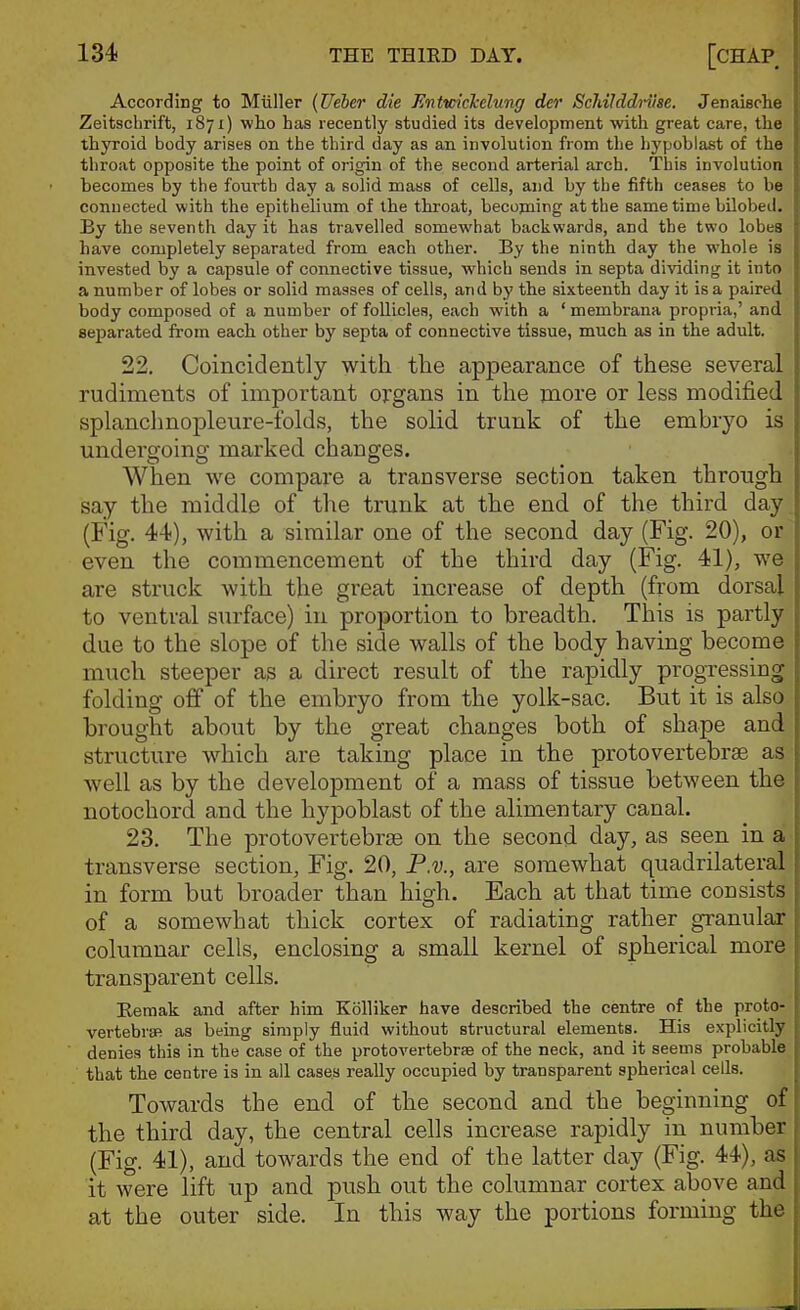 According to Miiller {Ueber die Enlvnckelung der ScJuIddi-iise. Jenaieche Zeitschrift, 1871) who has recently studied its development with great care, the thyroid body arises on the third day as an involution from the hypoblast of the throat opposite the point of origin of the second arterial arch. This involution becomes by the fourth day a solid mass of cells, and by the fifth ceases to be connected with the epithelium of the throat, becopaing at the same time bilobed. By the seventh day it has travelled somewhat backwards, and the two lobes have completely separated from each other. By the ninth day the whole is invested by a capsule of connective tissue, which sends in septa dividing it into a number of lobes or solid masses of cells, and by the sixteenth day it is a paired body composed of a number of follicles, each with a ' membrana propria,' and separated from each other by septa of connective tissue, much as in the adult. 22. Coincidently with the appearance of these several rudiments of important organs in the more or less modified splanchnopleure-folds, the solid trunk of the embryo is undergoing marked changes. When we compare a transverse section taken through say the middle of the trunk at the end of the third day (Fig. 44), with a similar one of the second day (Fig. 20), or even the commencement of the third day (Fig. 41), we are struck with the great increase of depth (from dorsal to ventral surface) in proportion to breadth. This is partly due to the slope of the side walls of the body having become much steeper as a direct result of the rapidly progressing folding off of the embryo from the yolk-sac. But it is also brought about by the great changes both of shape and structure which are taking place in the protovertebrae as well as by the development of a mass of tissue between the notochord and the hypoblast of the alimentary canal. 23. The protovertebras on the second day, as seen in a transverse section, Fig. 20, P.v., are somewhat quadrilateral in form but broader than high. Each at that time consists of a somewhat thick cortex of radiating rather granular columnar cells, enclosing a small kernel of spherical more transparent cells. Eeraak and after him Kolliker have described the centre of the proto- vertebrifi as being simply fluid without structural elements. His explicitly denies this in the case of the protovertebras of the neck, and it seems probable that the centre is in all cases really occupied by transparent spherical cells. Towards the end of the second and the beginning of the third day, the central cells increase rapidly in number (Fig. 41), and towards the end of the latter day (Fig. 44), as it were lift up and push out the columnar cortex above and at the outer side. In this way the portions forming the