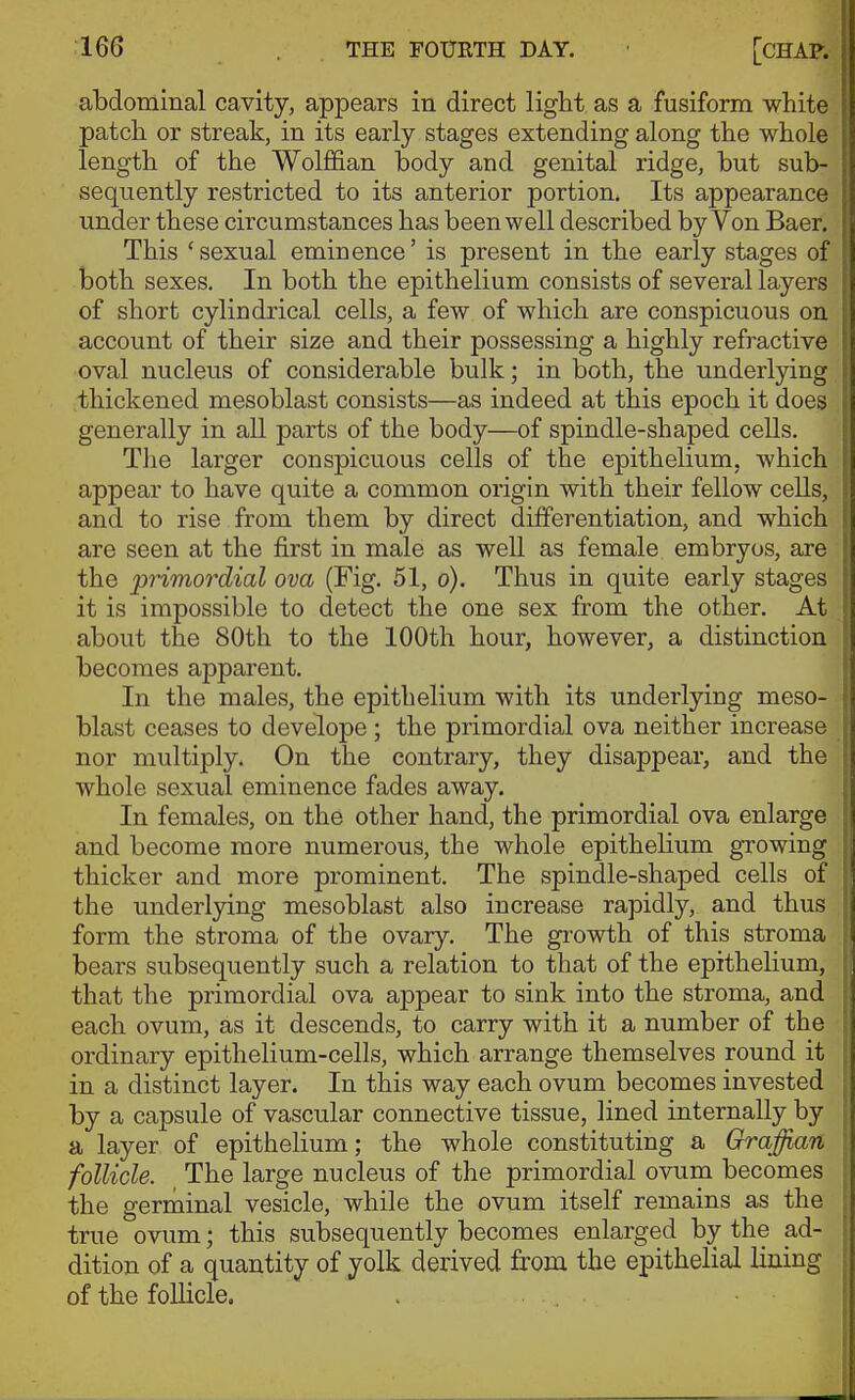 I abdominal cavity, appears in direct light as a fusiform white i patch or streak, in its early stages extending along the whole length of the Wolffian body and genital ridge, but sub- sequently restricted to its anterior portion. Its appearance under these circumstances has been well described by Von Baer. This 'sexual eminence' is present in the early stages of both sexes. In both the epithelium consists of several layers of short cylindrical cells, a few of which are conspicuous on account of their size and their possessing a highly refractive oval nucleus of considerable bulk; in both, the underlying thickened mesoblast consists—as indeed at this epoch it does generally in all parts of the body—of spindle-shaped cells. The larger conspicuous cells of the epithelium, which appear to have quite a common origin with their fellow cells, and to rise from them by direct differentiation, and which are seen at the first in male as well as female embryos, are the primordial ova (Fig. 51, o). Thus in quite early stages it is impossible to detect the one sex from the other. At about the 80th to the 100th hour, however, a distinction becomes apparent. In the males, the epithelium with its underlying meso- blast ceases to develope ; the primordial ova neither increase nor multiply. On the contrary, they disappear, and the whole sexual eminence fades away. In females, on the other hand, the primordial ova enlarge and become more numerous, the whole epithelium growing thicker and more prominent. The spindle-shaped cells of the underlying mesoblast also increase rapidly, and thus form the stroma of the ovary. The growth of this stroma bears subsequently such a relation to that of the epithelium, that the primordial ova appear to sink into the stroma, and each ovum, as it descends, to carry with it a number of the ordinary epithelium-cells, which arrange themselves round it in a distinct layer. In this way each ovum becomes invested by a capsule of vascular connective tissue, lined internally by a layer of epithelium; the whole constituting a Graffian follicle. The large nucleus of the primordial ovum becomes the germinal vesicle, while the ovum itself remains as the true ovum; this subsequently becomes enlarged by the ad- dition of a quantity of yolk derived from the epithelial lining of the follicle.