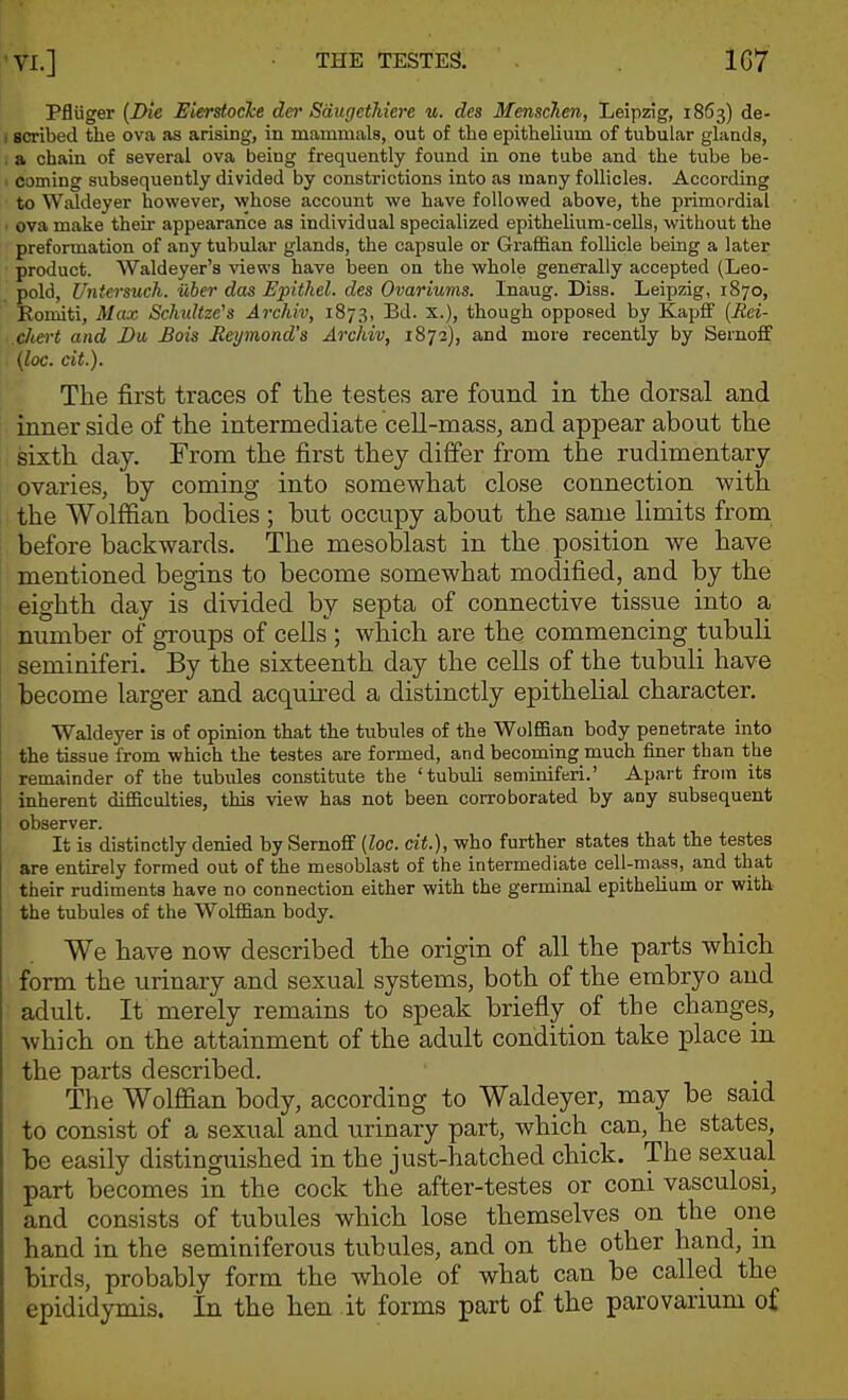 'VI.] THE TESTES. 1G7 Pfliiger {iHe Eierstocke der SdugetMere u. des Menschen, Leipzig, 1853) de- ! scribed the ova as arising, in mammals, out of the epithelium of tubular glands, . a chain of several ova being frequently found in one tube and the tube be- i coming subsequently divided by constrictions into as many follicles. According to Waldeyer however, whose account we have followed above, the primordial ■ ova make their appearance as individual specialized epithelium-ceUs, without the preformation of any tubular glands, the capsule or Graffian follicle being a later product. Waldeyer's views have been on the whole generally accepted (Leo- pold, Untersuch. uber das Epithel. des Ovariums. Inaug. Diss. Leipzig, 1870, Eomiti, Max Schultze's Archiv, 1873, Bd. x.), though opposed by Kapff {Rei- chert and Du Bois Reymond's Archiv, 18^2), and more recently by Sernoff {loc. cit.). The first traces of the testes are found in the dorsal and inner side of the intermediate cell-mass, and appear about the sixth day. From the first they differ from the rudimentary ovaries, by coming into somewhat close connection with the WoMan bodies ; but occupy about the same limits from before backwards. The mesoblast in the position we have mentioned begins to become somewhat modified, and by the eighth day is divided by septa of connective tissue into a number of groups of cells ; which are the commencing tubuli seminiferi. By the sixteenth day the cells of the tubuli have become larger and acquu-ed a distinctly epithelial character. Waldeyer is of opinion that the tubules of the WolfiBan body penetrate into the tissue from which the testes are formed, and becoming much finer than the remainder of the tubules constitute the 'tubuli seminiferi.' Apart from its inherent difficulties, this view has not been corroborated by any subsequent observer. It is distinctly denied by Sernoff {loc. dt), who further states that the testes are entirely formed out of the mesoblast of the intermediate cell-mass, and that their rudiments have no connection either with the germinal epithelium or with the tubules of the Wolffian body. We have now described the origin of all the parts which form the urinary and sexual systems, both of the embryo and adult. It merely remains to speak briefly of the changes, which on the attainment of the adult condition take place in the parts described. The Wolffian body, according to Waldeyer, may be said to consist of a sexual and urinary part, which can, he states, be easily distinguished in the just-hatched chick. The sexual part becomes in the cock the after-testes or coni vasculosi, and consists of tubules which lose themselves on the one hand in the seminiferous tubules, and on the other hand, in birds, probably form the whole of what can be called the epididymis. In the hen it forms part of the parovarium of