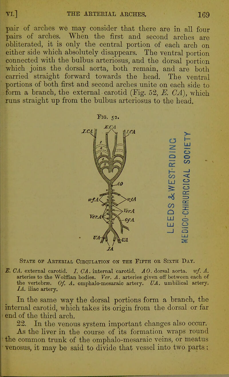 pair of arches we may consider that there are in all four pairs of arches. When the first and second arches are obliterated, it is only the central portion of each arch on either side which absolutely disappears. The ventral portion connected with the bulbus arteriosus, and the dorsal portion ■which joins the dorsal aorta, both remain, and are both carried straight forward towards the head. The ventral portions of both first and second arches unite on each side to form a branch, the external carotid (Fig. 52, E. CA), which runs straight up from the bulbus arteriosus to the head. riG. S3. State of Aktebial Cikqulation on the Fifth ob Sixth Dat. E. CA. exteraal carotid. /. CA. internal carotid. AO. dorsal aorta, wf. A. arteries to the Wolffian bodies. Ver. A. arteries given off between each of the vertebrae. Of. A. omphalo-mesaraic artery. UA. umbilical artery. I A. iliac artery. In the same way the dorsal portions form a branch, the internal carotid, which takes its origin from the dorsal or far end of the third arch. 22. In the venous system important changes also occur. As the liver in the course of its formation wraps round the common trunk of the omphalo-mesaraic veins, or meatus venosus, it may be said to divide that vessel into two parts :