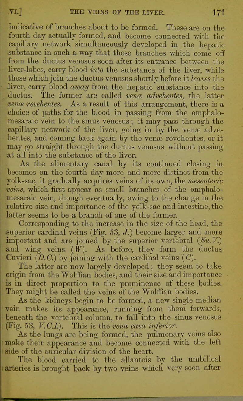indicative of branches about to be formed. These are on the fourth day actually formed, and become connected with the capillary network simultaneously developed in the hepatic substance in such a way that those branches which come off from the ductus venosus soon after its entrance between the liver-lobes, cany blood iiito the substance of the liver, while those which join the ductus venosus shortly before it leaves the liver, carry blood away from the hepatic substance into the ductus. The former are called vence advehentes, the latter mnce revehentes. As a result of this arrangement, there is a choice of paths for the blood in passing from the omphalo- mesaraic vein to the sinus venosus; it may pass through the capillary network of the liver, going in by the venae adve- hentes, and coming back again by the venae revehentes, or it may go straight through the ductus venosus without passing at all into the substance of the liver. As the alimentary canal by its continued closing in becomes on the fourth day more and more distinct from the yolk-sac, it gradually acquires veins of its own, the mesenterio veins, which first appear as small branches of the omphalo- mesaraic vein, though eventually, owing to the change in the relative size and importance of the yolk-sac and intestine, the latter seems to be a branch of one of the former. Corresponding to the increase in the size of the head, the superior cardinal veins (Fig. 53, /.) become larger and more important and are joined by the superior vertebral {SilV) and wing veins (W). As before, they form the ductus Cuvieri {D.C.) by joining with the cardinal veins (C). The latter are now largely developed; they seem to take origin from the Wolffian bodies, and their size and importance is in direct proportion to the prominence of these bodies. They might be called the veins of the Wolffian bodies. As the kidneys begin to be formed, a new single median vein makes its appearance, running from them forwards, beneath the vertebral column, to fall into the sinus venosus (Fig. 53, V. G.I.). This is the vena cava inferior. As the lungs are being formed, the pulmonary veins also make their appearance and become connected with the left side of the auricular division of the heart. The blood carried to the allantois by the umbilical arteries is brought back bj two veins which very soon after