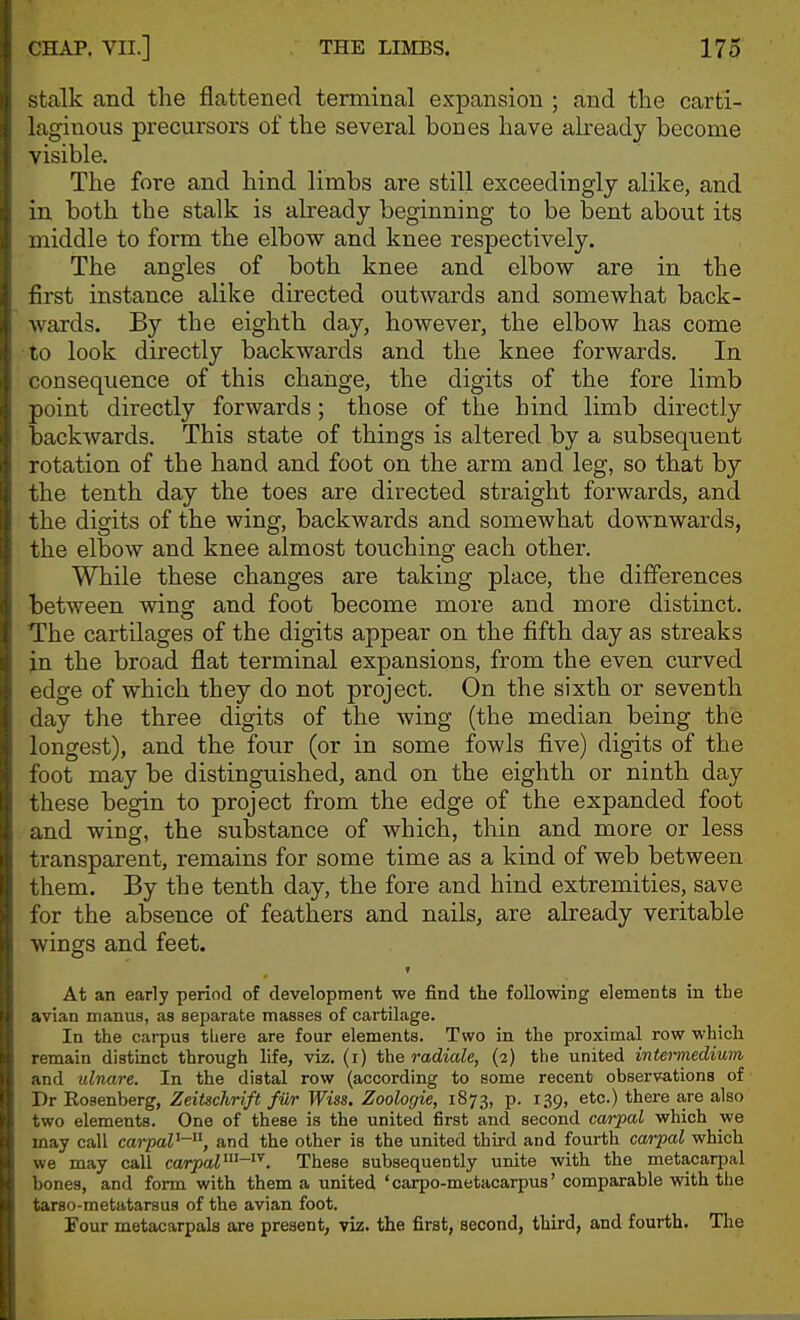 t stalk and the flattened terminal expansion ; and the carti- laginous precursors of the several bones have already become visible. j The fore and hind limbs are still exceedingly alike, and d in both the stalk is already beginning to be bent about its J middle to form the elbow and knee respectively. I The angles of both knee and elbow are in the i first instance alike directed outwards and somewhat back- iwards. By the eighth day, however, the elbow has come to look directly backwards and the knee forwards. In consequence of this change, the digits of the fore limb i\ point directly forwards; those of the hind limb directly i] backwards. This state of things is altered by a subsequent ij rotation of the hand and foot on the arm and leg, so that by il the tenth day the toes are directed straight forwards, and iJ the digits of the wing, backwards and somewhat downwards, ij the elbow and knee almost touching each other. : While these changes are taking place, the differences 'I between wing and foot become more and more distinct, i The cartilages of the digits appear on the fifth day as streaks i\ in the broad flat terminal expansions, from the even curved ; edge of which they do not project. On the sixth or seventh I day the three digits of the wing (the median being the \ longest), and the four (or in some fowls five) digits of the foot may be distinguished, and on the eighth or ninth day these begin to project from the edge of the expanded foot and wing, the substance of which, thin and more or less transparent, remains for some time as a kind of web between them. By the tenth day, the fore and hind extremities, save for the absence of feathers and nails, are already veritable wings and feet. At an early period of development we find the following elements in the avian manus, as separate masses of cartilage. In the carpus tbere are four elements. Two in the proximal row which remain distinct through life, viz. (i) the radiale, (2) the united intermedium and idnare. In the distal row (according to some recent observations of Dr Rosenberg, Zeitschrift fur Wiss. Zoologie, 1873, p. 139, etc.) there are also two elements. One of these is the united first and second carpal which we may call carpaV-, and the other is the united third and fourth cai-pal which we may call carpal^-^''. These subsequently unite with the metacarpal bones, and form with them a united ' carpo-metacarpus' comparable with the tarso-metatarsus of the avian foot. Four metacarpals are present, viz. the first, second, third, and fourth. The