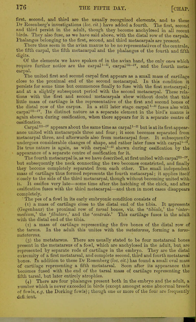first, second, and third are the usually recognized elements, and to these Dr Eoseuberg's investigations {loc. cit.) have added a fourth. The first, second and third persist in the adult, though they become anchylosed in all recent birds. They also fuse, as we have said above, with the distal row of the carpala. Phalanges belonging to the first, second, and third metacarpals are present. There thus seem in the avian manus to be no representatives of the centrale, the fifth carpal, the fifth metacarpal and the phalanges of the fourth and fifth digits. Of the elements we have spoken of in the avian hand, the only ones which require further notice are the carpal'-, carpal'-'^, and the fourth meta- carpal. The united first and second carpal first appears as a small mass of cartilage close to the proximal end of the second metacarpal. In this condition it persists for some time but commences finally to fuse with the first metacarpal; and at a slightly subsequent period with the second metacarpal. These rela- tions with the first and second metacarpals shew without doubt that this little mass of cartilage is the representative of the first and second bones of the distal row of the carpus. In a still later stage carpalfuses also with carpal''^. Its distinct nature as a separate element in the bird's manus is again shewn during ossification, when there appears for it a separate centre of ossification. Carpal'-'^ appears about the same time as carpalbut is at its first appear- ance united with metacarpals three and four; it soon becomes separated from metacarpal three, and afterwards also from metacarpal four. It subsequently undergoes considerable changes of shape, and rather later fuses with carpal'-. Its true nature is again, as with carpal'- shewn during ossification by the appearance of a separate centre of ossification for it. The fourth metacarpal is, as we have described, at first united with carpal'-'^, but subsequently the neck connecting the two becomes constricted, and finally they become completely separated from each other. The small independent mass of cartilage thus formed represents the fourth metacarpal; it applies itself closely to the side of the third metacarpal, though without becoming united with- it. It ossifies very late—some time after the hatching of the chick, and after ossification fuses with the third metacarpal—and then in most cases disappears completely. ' The pes of a fowl in its early embryonic condition consists of (1) a mass of cartilage close to the distal end of the tibia. It cepresenta (Gegenbaur) the proximal row of tarsal bones, viz. the Hibiale,' the 'inter- medium,^ the 'fibulare,' and the 'centrale.'' This cartilage fuses in the adult with the distal end of the tibia. (2) a mass of cartilage representing the five bones of the distal row of the tarsus. In the adult this vmites with the metatarsus, forming a tarso- metatarsus. (3) the metatarsus. There are usually stated to be four metatarsal bones present in the metatarsus of a fowl, which are anchylosed in the adult, but. are represented by separate rods of cartilage in the embryo. They are the distal extremity of a first metatarsal, and complete second, third and fourth metatarsal bones. Tn addition to these Dr Rosenberg {loc. cit.) has found a small oval mass of cartilage representing a fifth metatarsal. Soon after its appearance this becomes fused with the end of the tarsal mass of cartilage representing the fifth tarsal, but later entirely atrophies. (4) There are four phalanges present both in the embryo and the adult, a number which is never exceeded in birds (except amongst some abnormal breeds of fowls, e.g. the Dorking fowls); though one or more of the four are frequently defijient.
