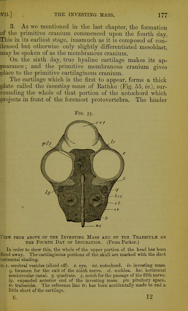 3. As we mentioned in the last chapter, the formation of the primitive cranium commenced upon the fourth day. IThis in its earliest stage, inasmuch as it is composed of con- densed but otherwise only slightly differentiated mesoblast, may be spoken of as the membranous cranium. On the sixth day, true hyaline cartilage makes its ap- pearance ; and the primitive membranous cranium gives place to the primitive cartilaginous cranium. The cartilage which is the first to appear, forms a thick plate called the investing mass of Rathke (Fig. 55, iv.), sur- rounding the whole of that portion of the notochord which projects in front of the foremost protovertebra. The hinder Fig. 55. 7lEW FBOM ABOVE OF THE INVESTING MaSS AND OP THE TRABECULE ON THE FoOBTH Dat OF INCUBATION. (From Parker.) In order to shew this, the whole of the upper portion of the head has been liced away. The cartilaginous portions of the skull are marked with the dark orizontal shading. V. 1. cerebral vesicles (sliced ofiF). e. eye. ne. notochord. iv. investing mass. 9. foramen for the exit of the ninth nerve, cl. cochlea. Jisc. horizontal semicircular canal. 5. quadrate. 5. notch for the passage of the fifth nerve. Ig. expanded anterior end of the investing mass. pts. pituitary space. tr. trabeculae. The reference line tr. has been accidentally made to end a little short of the cartilage. E. 12