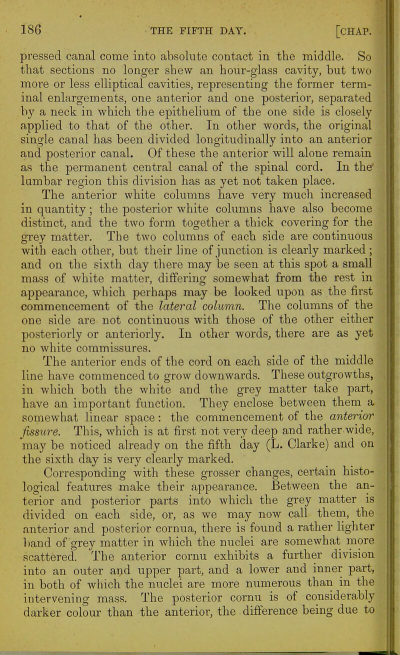 pressed canal come into absolute contact in the middle. So that sections no longer shew an hour-glass cavity, but two more or less elliptical cavities, representing the former term- inal enlargements, one anterior and one posterior, separated by a neck in which the epithelium of the one side is closely applied to that of the other. In other words, the original single canal has been divided longitudinally into an anterior and posterior canal. Of these the anterior will alone remain as the permanent central canal of the spinal cord. In the' lumbar region this division has as yet not taken place. The anterior white columns have very much increased in quantity; the posterior white columns have also become distinct, and the two form together a thick covering for the grey matter. The two columns of each side are continuous with each other, but their line of junction is clearly marked; and on the sixth day there may be seen at this spot a small mass of white matter, differing somewhat from the rest in appearance, which perhaps may be looked upon as the fii'st commencement of the lateral column. The columns of the one side are not continuous with those of the other either posteriorly or anteriorly. In other words, there are as yet no white commissures. The anterior ends of the cord on each side of the middle line have commenced to grow downwards. These outgrowths, in which both the white and the grey matter take part, have an important function. They enclose between them a somewhat linear space: the commencement of the anterior fissure. This, which is at first not very deep and rather wide, may be noticed already on the fifth day (L. Clarke) and on the sixth day is very clearly marked. Corresponding with these grosser changes, certain histo- logical features make their appearance. Between the an- terior and posterior parts into which the grey matter is divided on each side, or, as we may now call them, the anterior and posterior cornua, there is found a rather lighter band of grey matter in which the nuclei are somewhat more scattered. The anterior cornu exhibits a further division into an outer and upper part, and a lower and inner part, in both of which the nuclei are more numerous thari in the intervening mass. The posterior cornu is of considerably darker colour than the anterior, the difference being due to