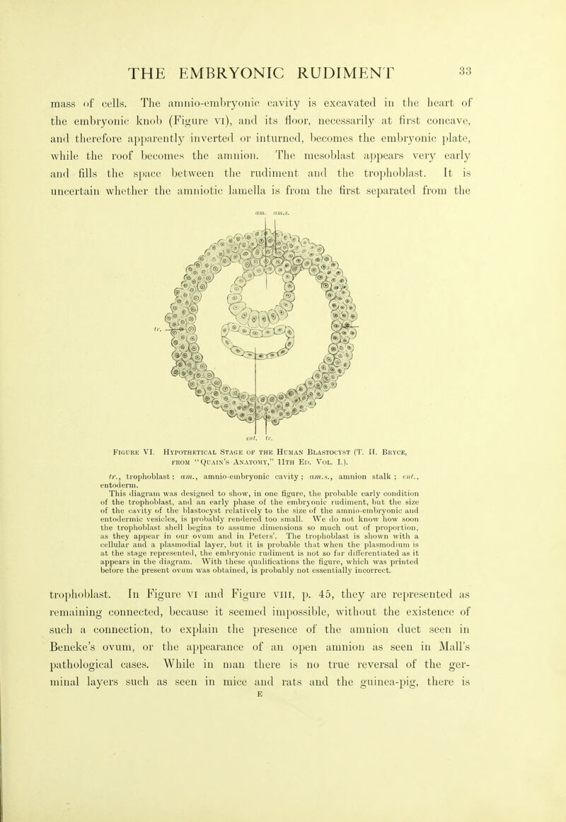 mass of cells. The amnio-embryoiiic cavity is excavated in the heart of the embryonic knob (Figure vi), and its Hoor, necessarily at first concave, and therefore apparently inverted or inturned, becomes the embryonic plate, while the roof becomes the amnion. The mesoblast appears very early and fills the space between the rudiment and the trophoblast. It is uncertain whether the amniotic lamella is from the first separated from the am. am.s. ent. tr. Figure VI. Hypothetical Stage of the Human Blastocyst (T. IT. Brycb, FKOiM Quain's Anatomy, 11th Ed. Vol. I.). tr., trophoblast; am., amnioembryonic cavity; am.v., amnion stalk; tut.. ento(ierin. This diagram was designed to show, in one figure, the probable early condition of the trophol)last, and an early phase of the endjiyonic rndinient, hut the size of the cavity of the blastocyst relatively to the size of the ainnio-enibryonic and entodermic vesicles, is probably rendered too small. We do not know how soon the trophoblast shell begins to assume dimensions so much out of proportion, as they appear in onr ovum and in Peters'. The trophoblast is shown with a cellular and a plasmodial layer, Init it is probable that when the plasmodium is at the stage represented, the embryonic rudiment is not so far dill'erentiated as it appears in the diagram. With these qualifications the figure, which was printed before the present ovum was obtained, is probably not essentially incorrect. trophoblast. In Figure vi and Figure viii, p. 45, they are represented as remaining connected, because it seemed impossible, without the existence of such a connection, to explain the presence of the amnion duct seen in Beneke's ovum, or the appearance of an open amnion as seen in Mall's pathological cases. While in man there is no true reversal of the ger- minal layers such as seen in mice and rats and the guinea-pig, there is E