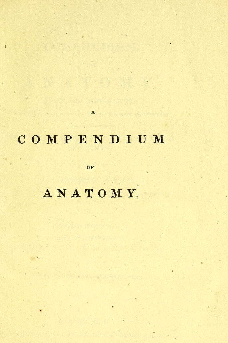 I A COMPENDIUM OF ANATOMY.