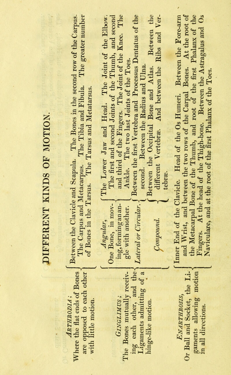 ^ 'S g Co P3 ■ ^ ^ . ^3 O Q PS O •-2 g I o ^ S O OJ § <i _rj .r-i M pC; 55 fcq o o .2 ^ ^ ^