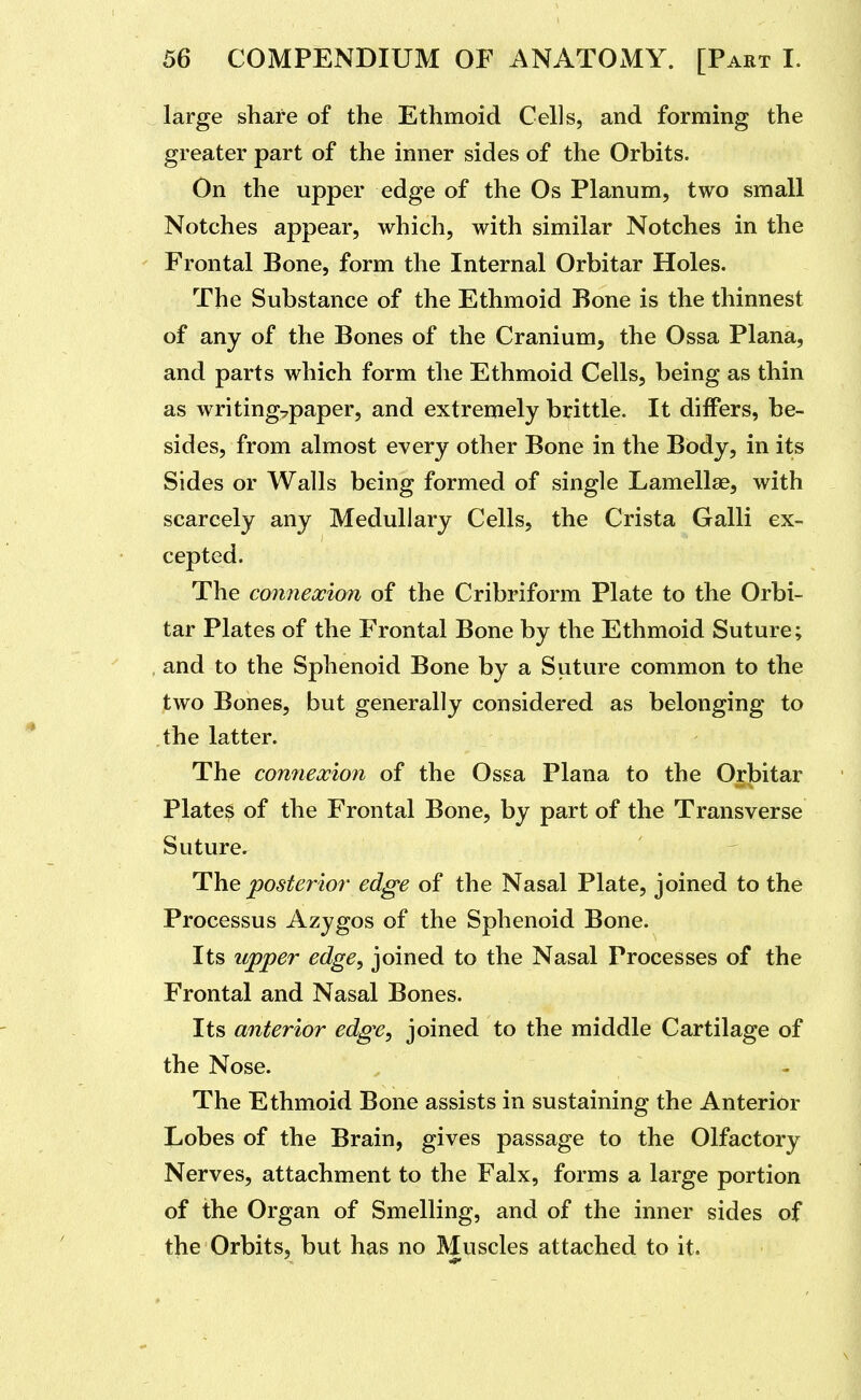 large share of the Ethmoid Cells, and forming the greater part of the inner sides of the Orbits. On the upper edge of the Os Planum, two small Notches appear, which, with similar Notches in the Frontal Bone, form the Internal Orbitar Holes. The Substance of the Ethmoid Bone is the thinnest of any of the Bones of the Cranium, the Ossa Plana, and parts which form the Ethmoid Cells, being as thin as writing-paper, and extremely brittle. It differs, be- sides, from almost every other Bone in the Body, in its Sides or Walls being formed of single Lamellae, with scarcely any Medullary Cells, the Crista Galli ex- cepted. The connexion of the Cribriform Plate to the Orbi- tar Plates of the Frontal Bone by the Ethmoid Suture; and to the Sphenoid Bone by a Suture common to the two Bones, but generally considered as belonging to the latter. The connexion of the Ossa Plana to the Orbitar Plates of the Frontal Bone, by part of the Transverse Suture. The jposterio7- edge of the Nasal Plate, joined to the Processus Azygos of the Sphenoid Bone. Its upper edge, joined to the Nasal Processes of the Frontal and Nasal Bones. Its anterior edge, joined to the middle Cartilage of the Nose. The Ethmoid Bone assists in sustaining the Anterior Lobes of the Brain, gives passage to the Olfactory Nerves, attachment to the Falx, forms a large portion of the Organ of Smelling, and of the inner sides of the Orbits, but has no Muscles attached to it.